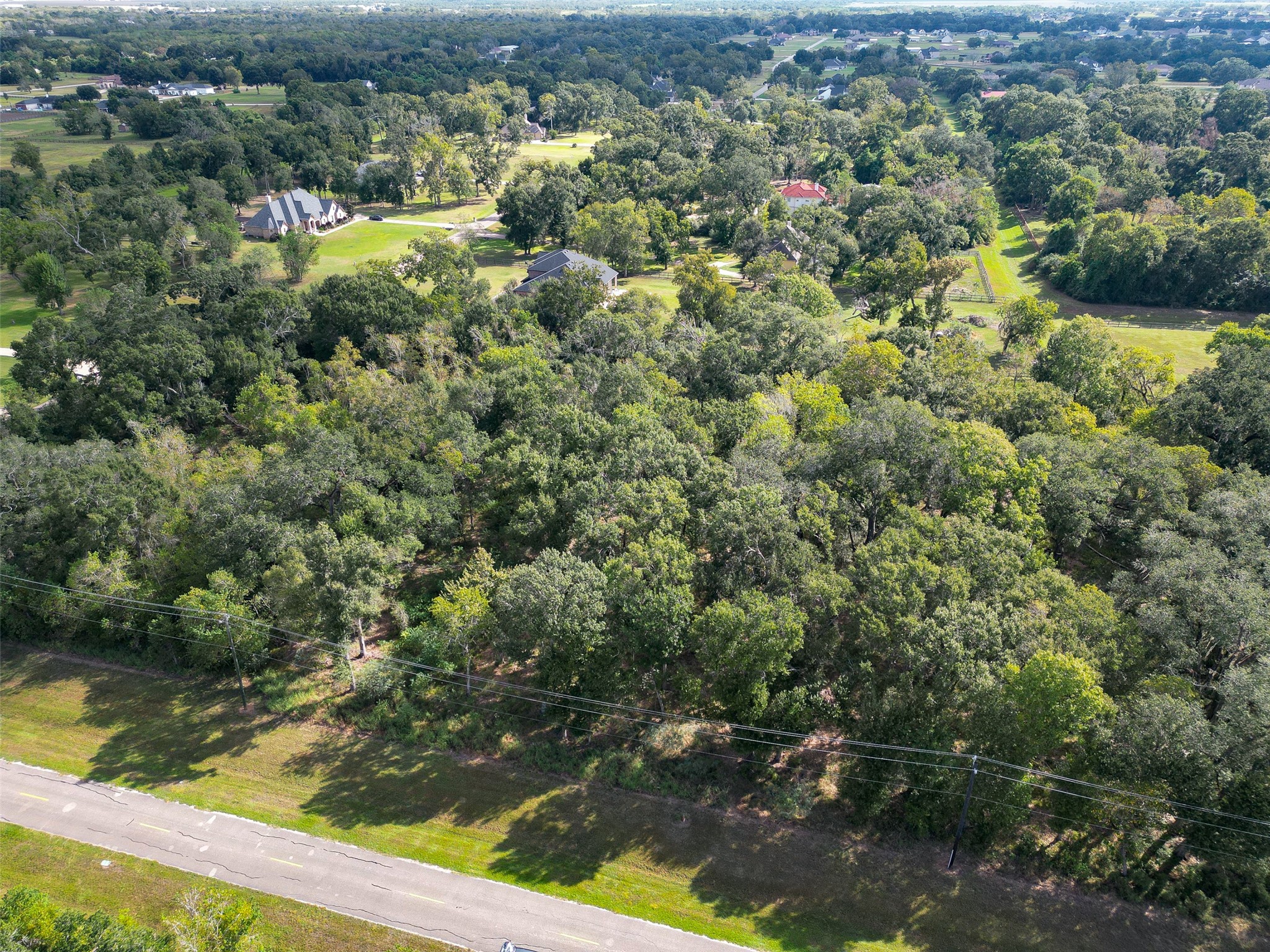 17227 Hamill Drive, Rosharon, TX 77583