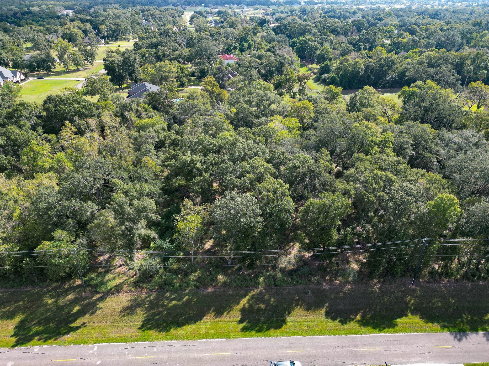 17227 Hamill Drive, Rosharon, TX 77583