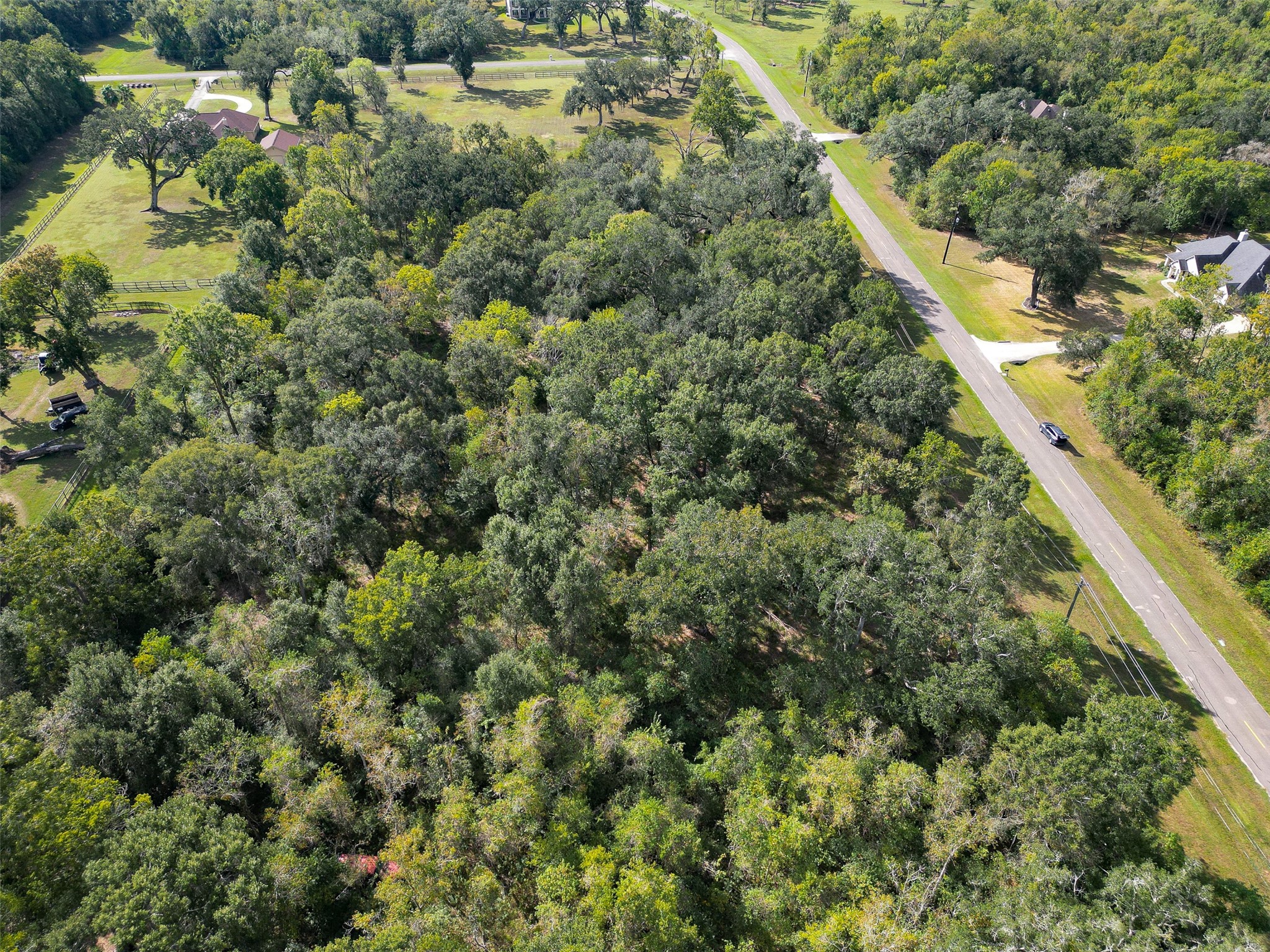 17227 Hamill Drive, Rosharon, TX 77583