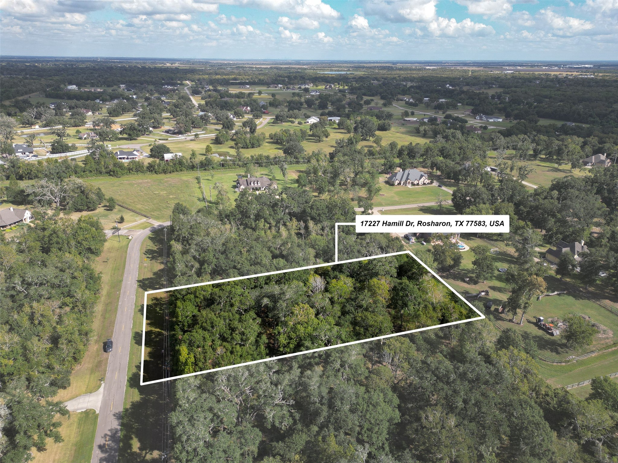 17227 Hamill Drive, Rosharon, TX 77583