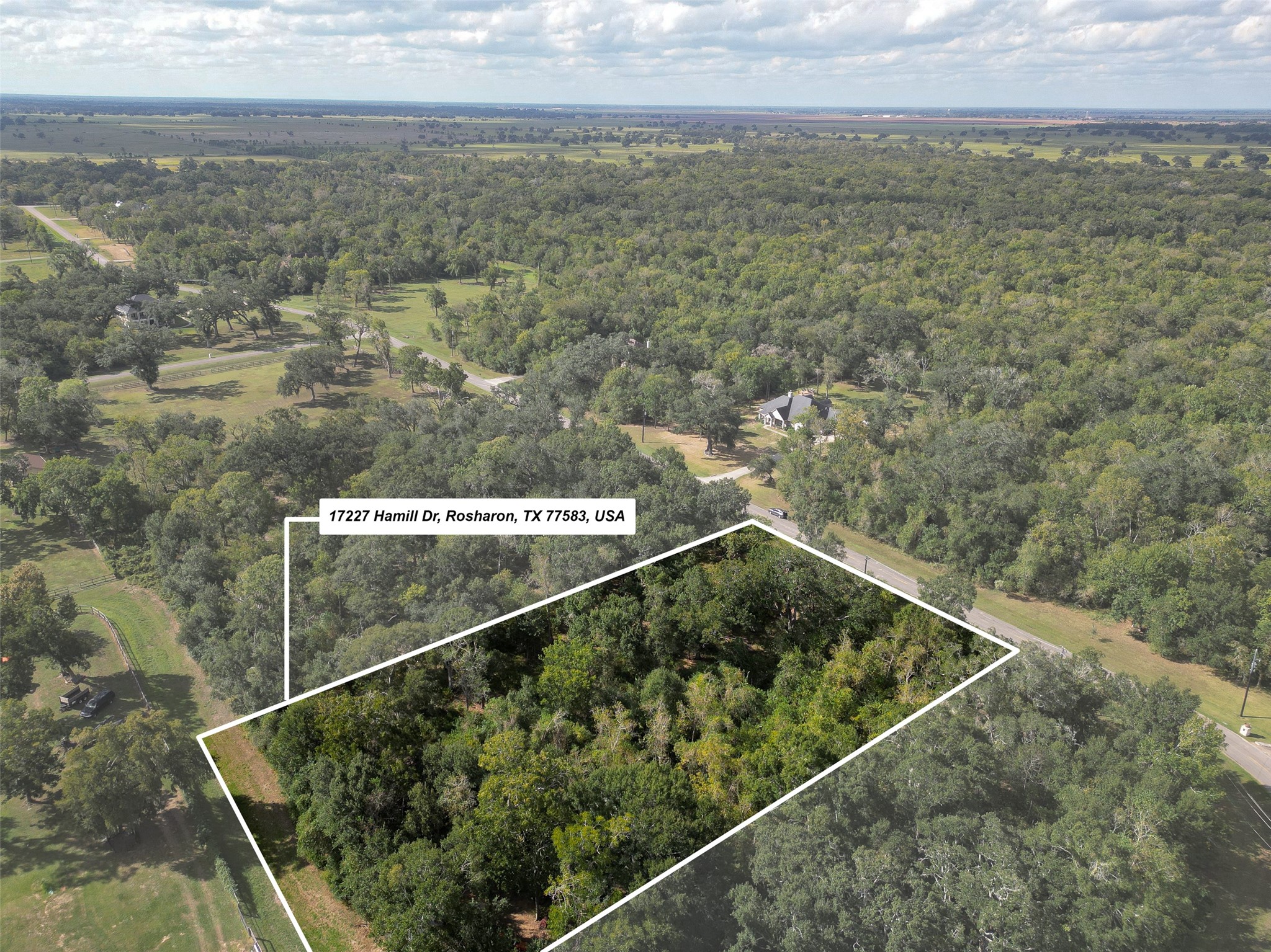 17227 Hamill Drive, Rosharon, TX 77583