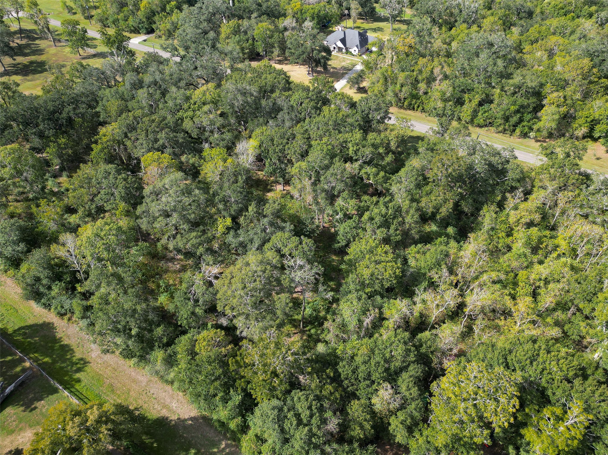 17227 Hamill Drive, Rosharon, TX 77583