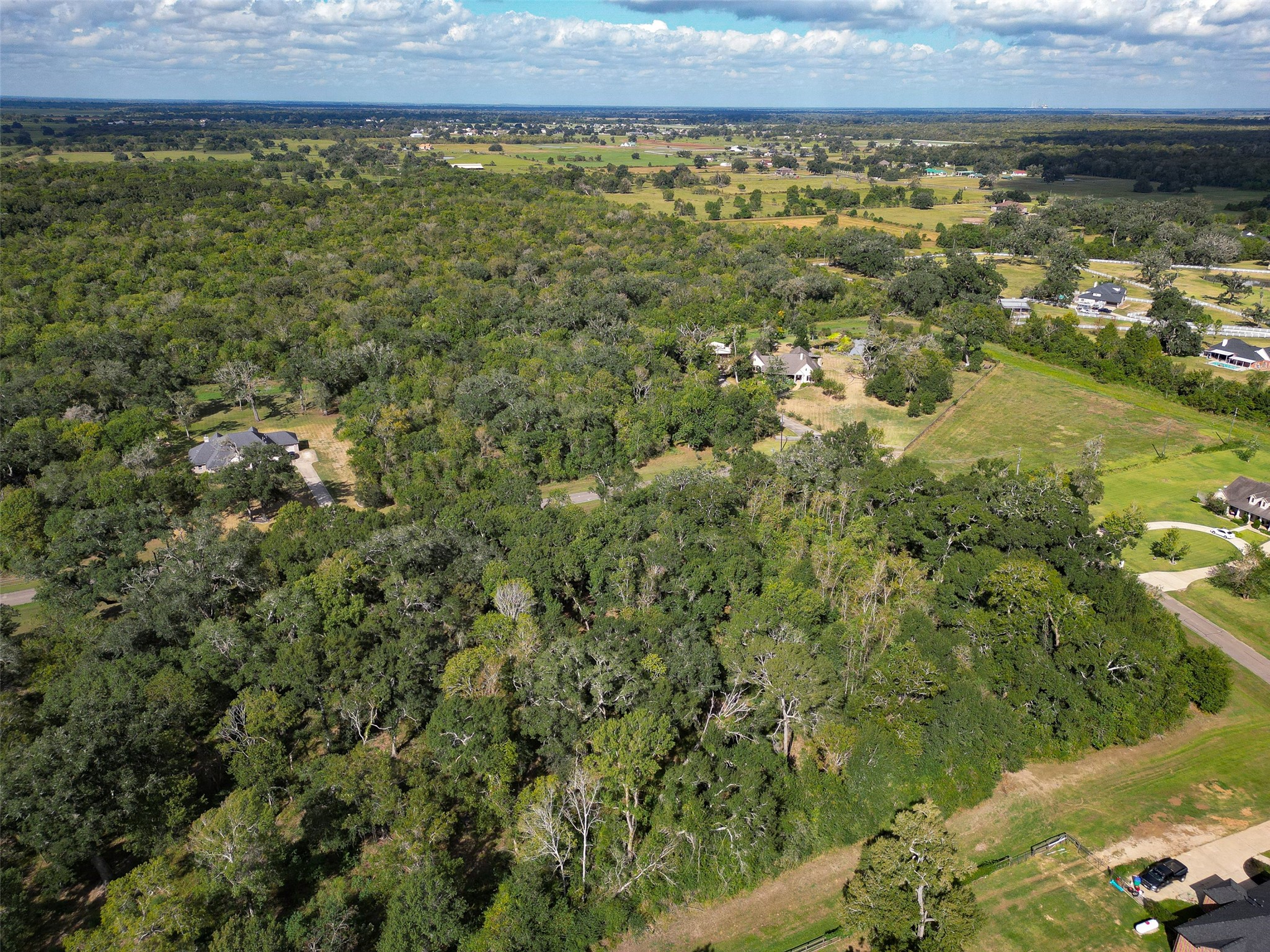 17227 Hamill Drive, Rosharon, TX 77583