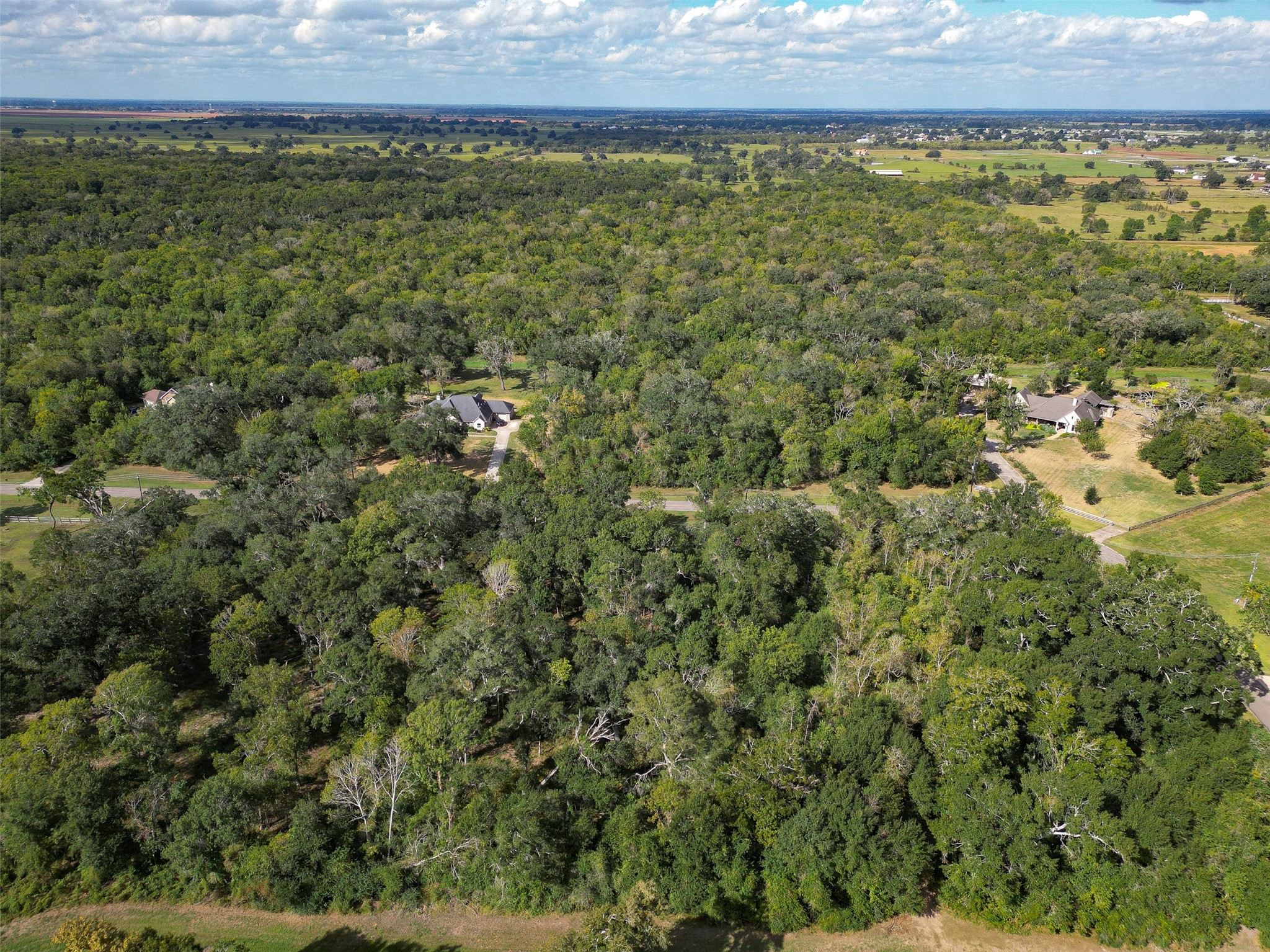 17227 Hamill Drive, Rosharon, TX 77583