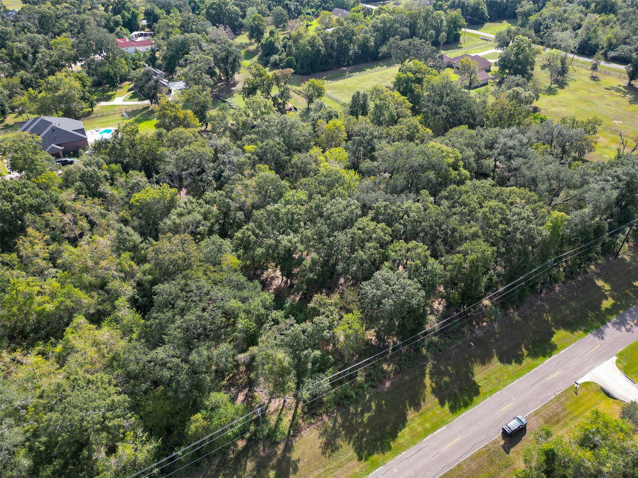 17227 Hamill Drive, Rosharon, TX 77583
