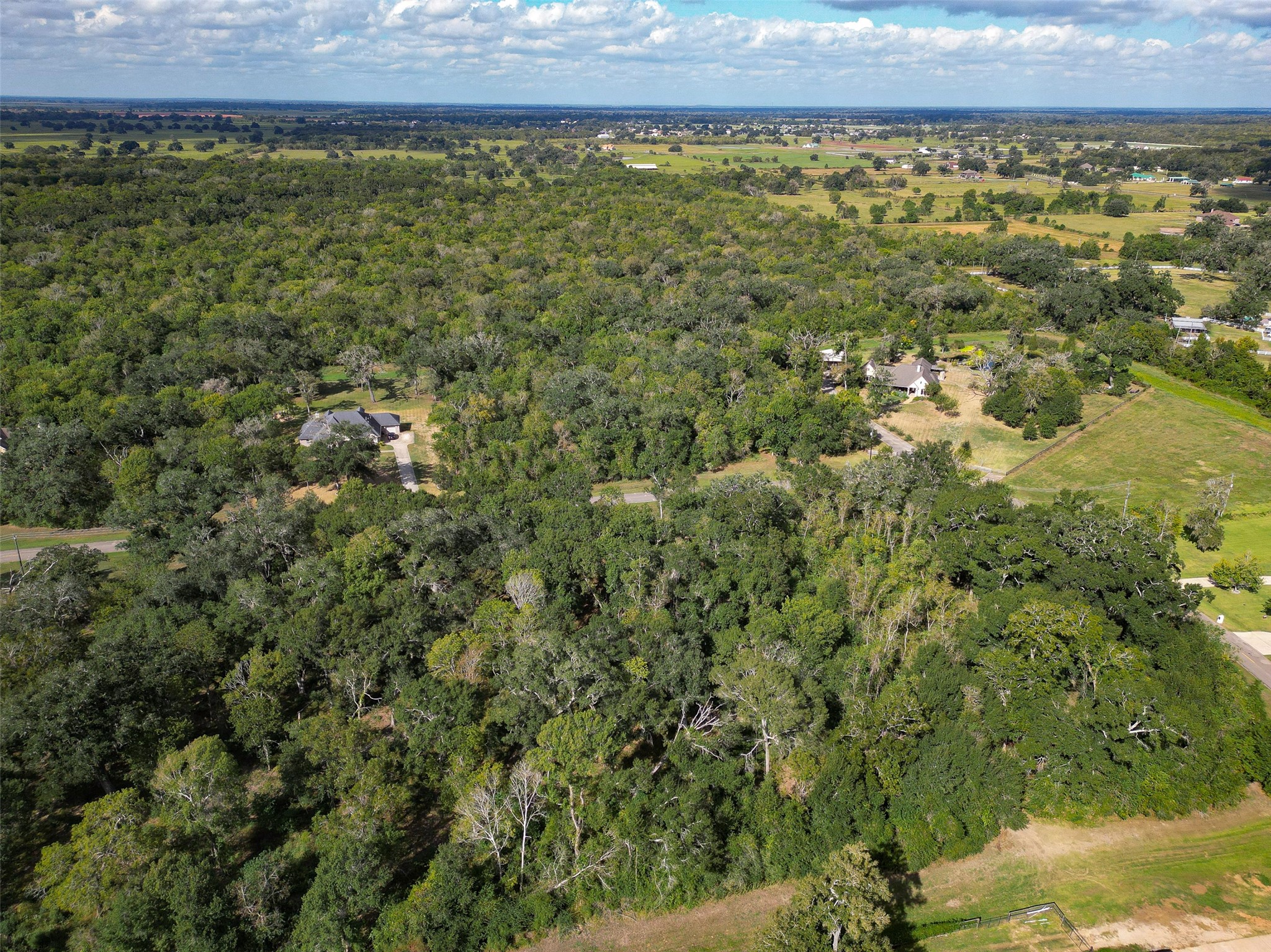 17227 Hamill Drive, Rosharon, TX 77583