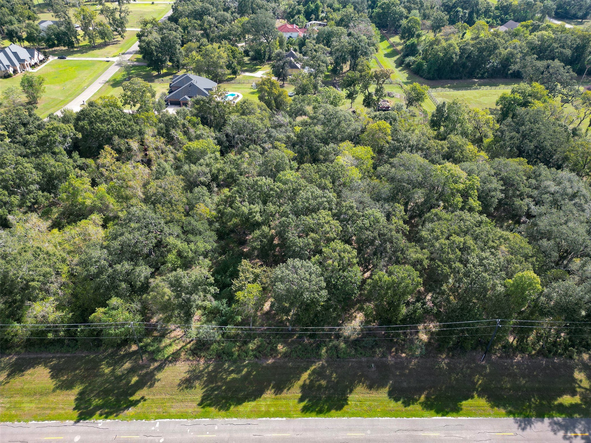 17227 Hamill Drive, Rosharon, TX 77583