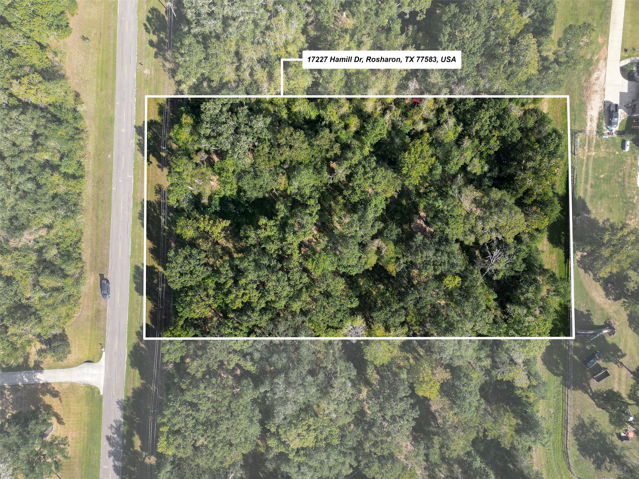 17227 Hamill Drive, Rosharon, TX 77583