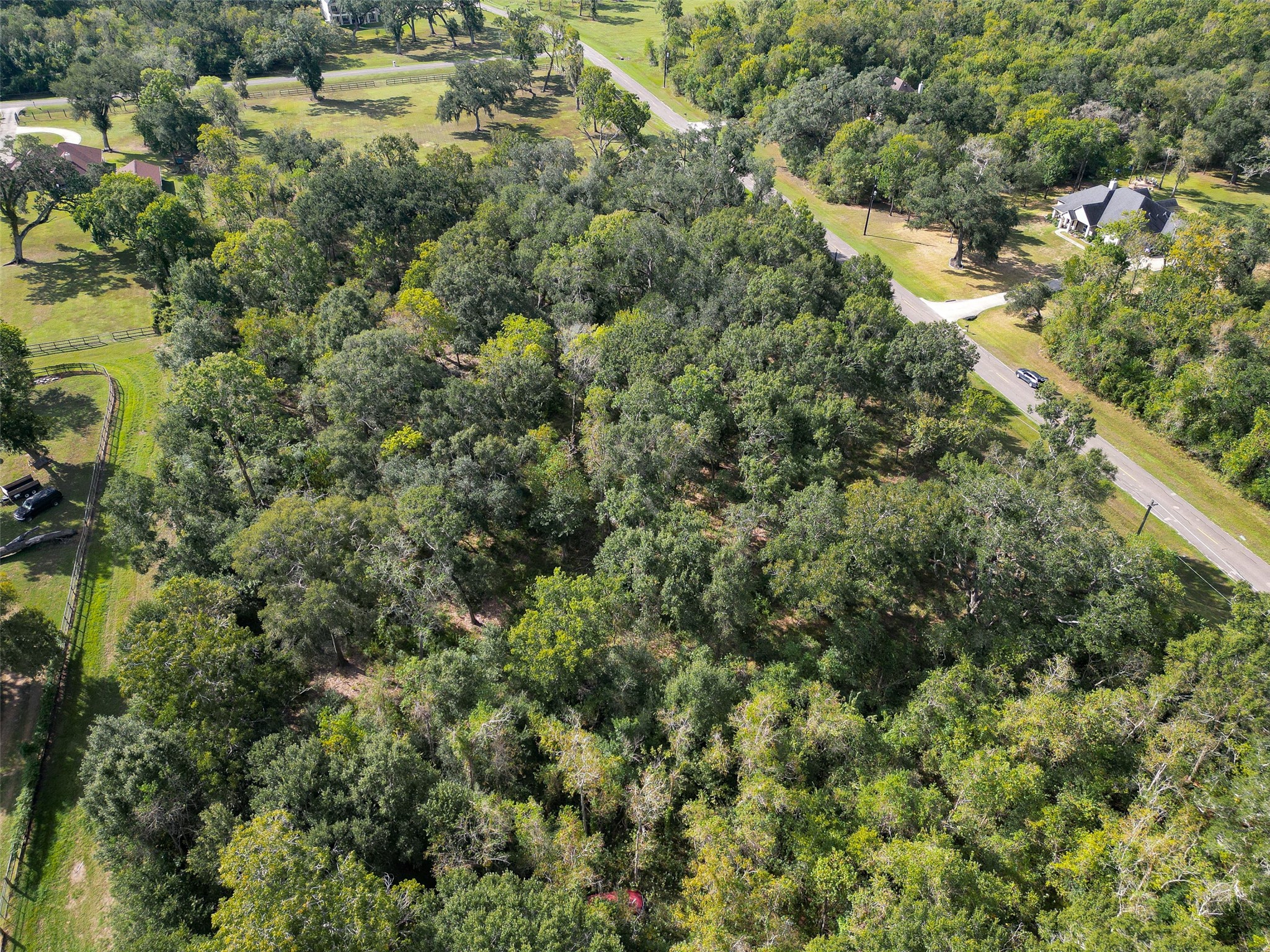 17227 Hamill Drive, Rosharon, TX 77583