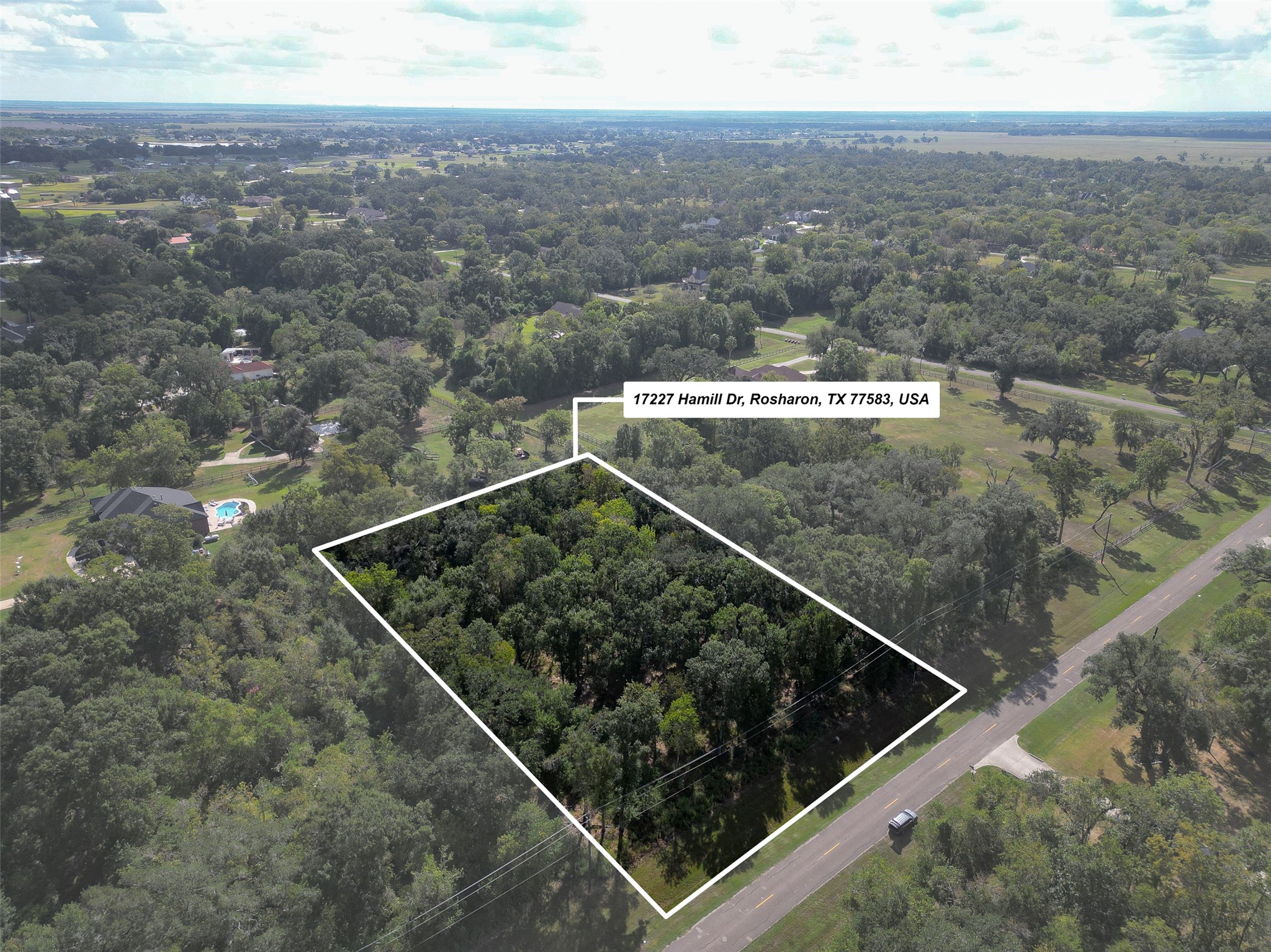 17227 Hamill Drive, Rosharon, TX 77583