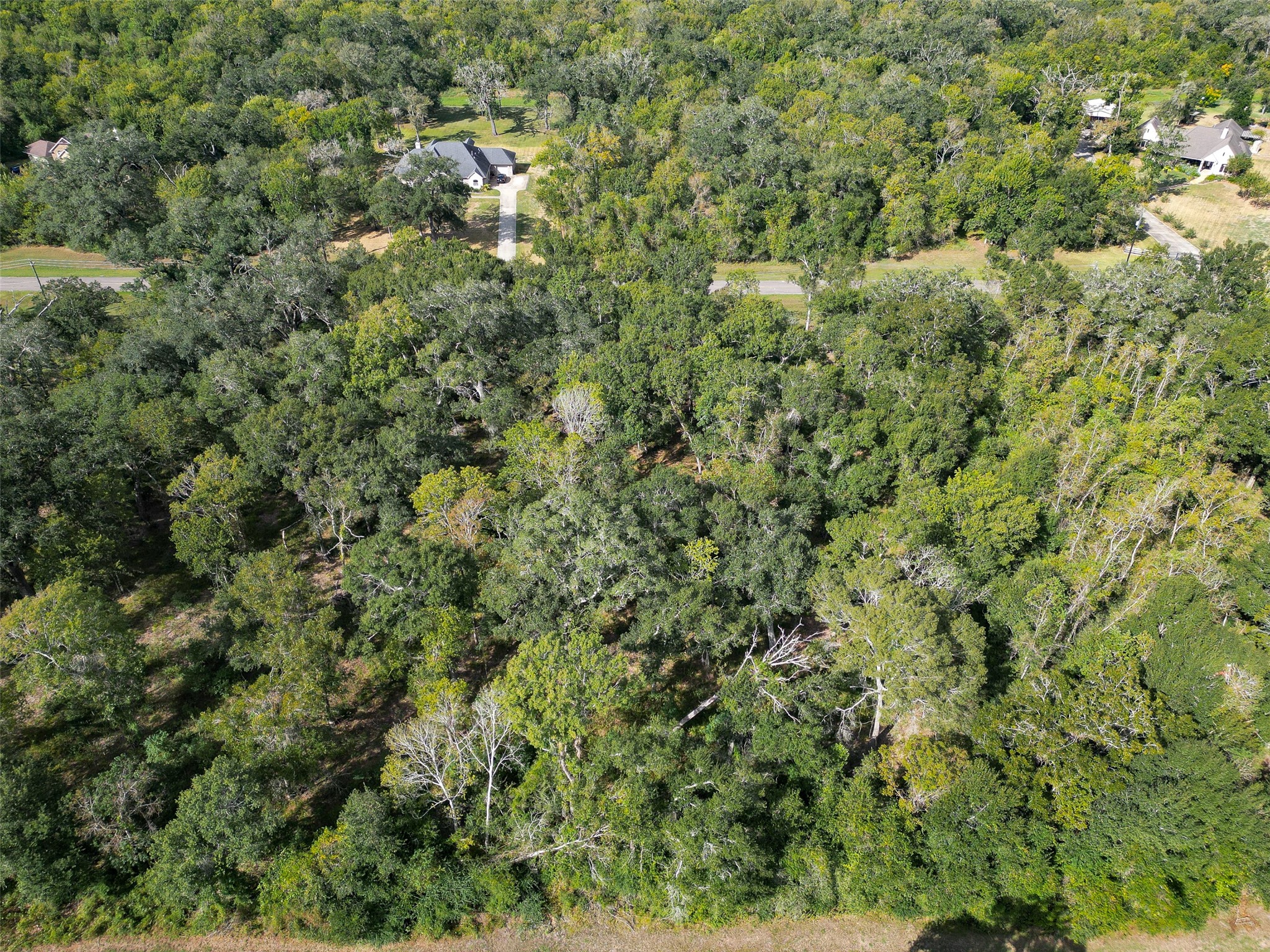 17227 Hamill Drive, Rosharon, TX 77583