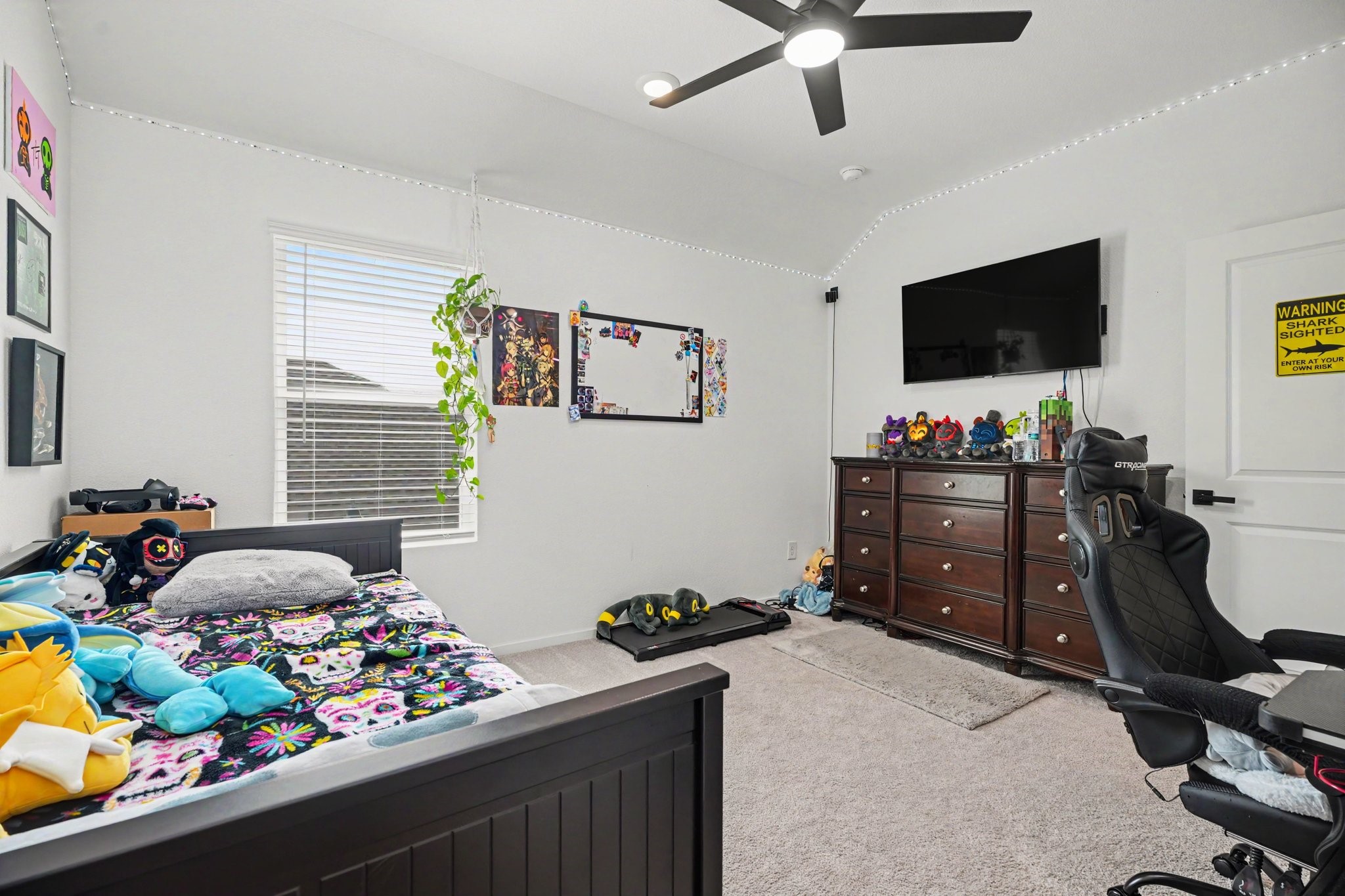Secondary bedroom with plush carpeting, a large window, and a comfortable layout.