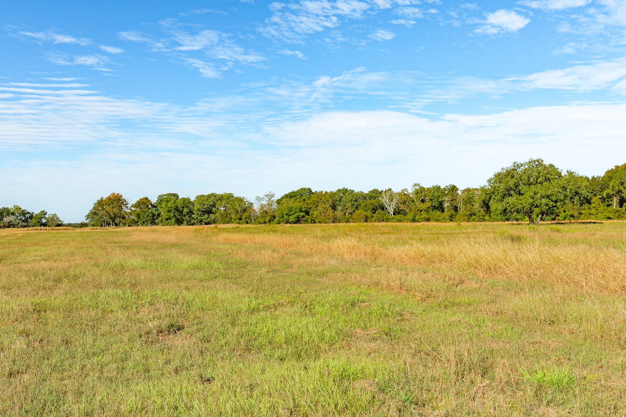 Open pasture ideal for livestock or recreational use.