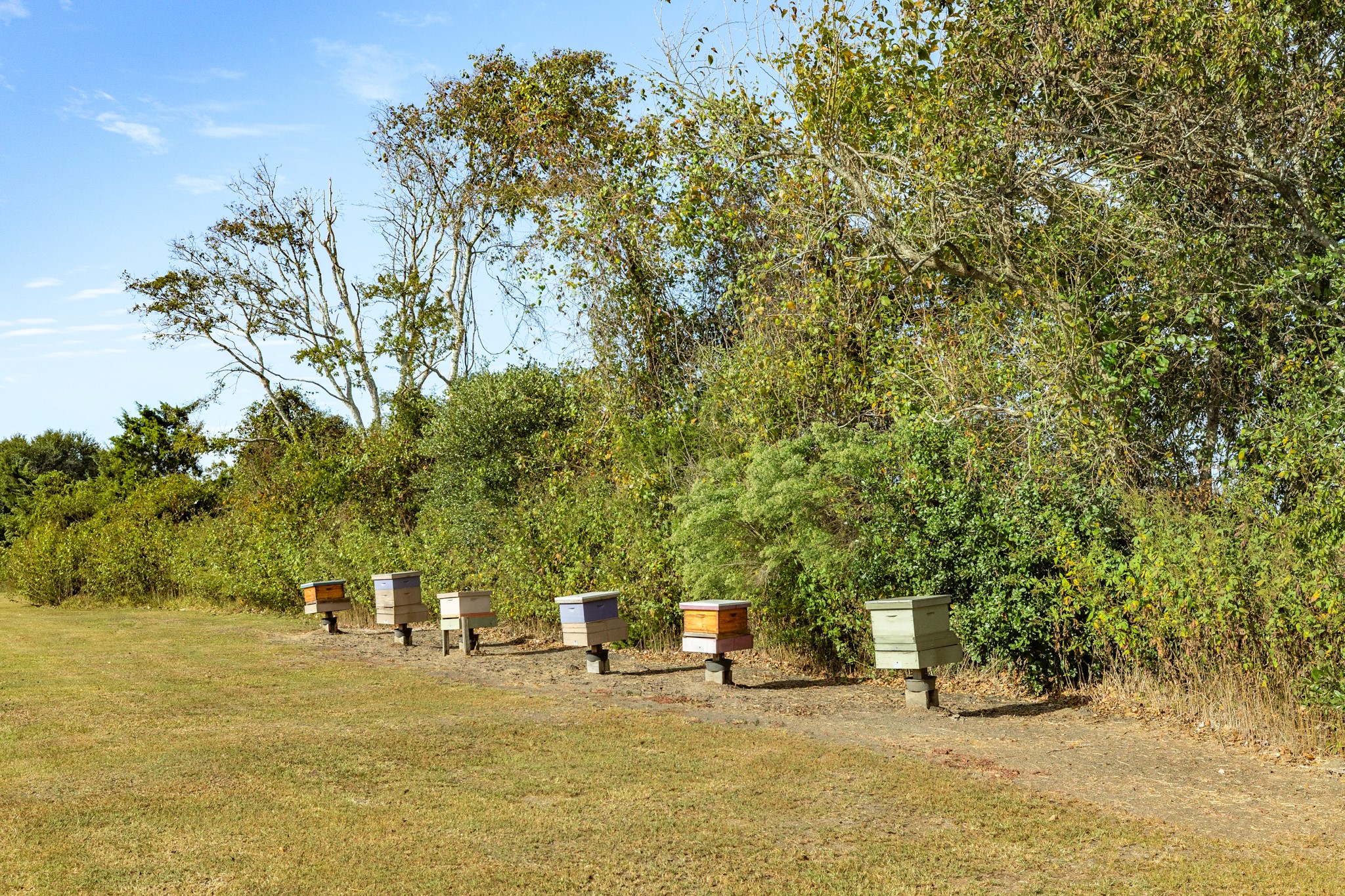 Dedicated area for beekeeping.