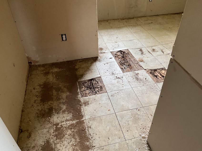 6708 Hawthorne Road, Hitchcock, TX 77563