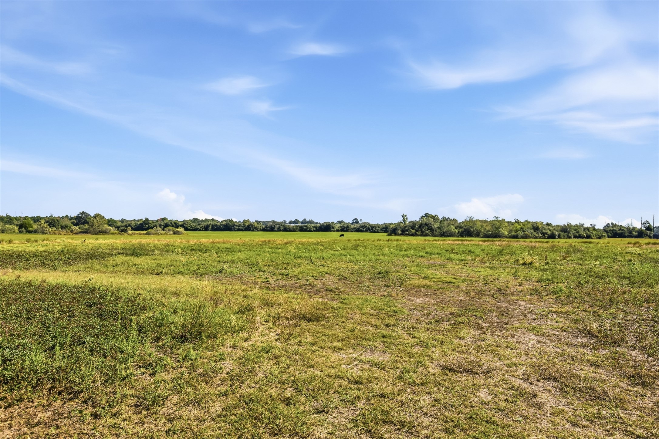 000 Richards Road, Prairie View, TX 77445