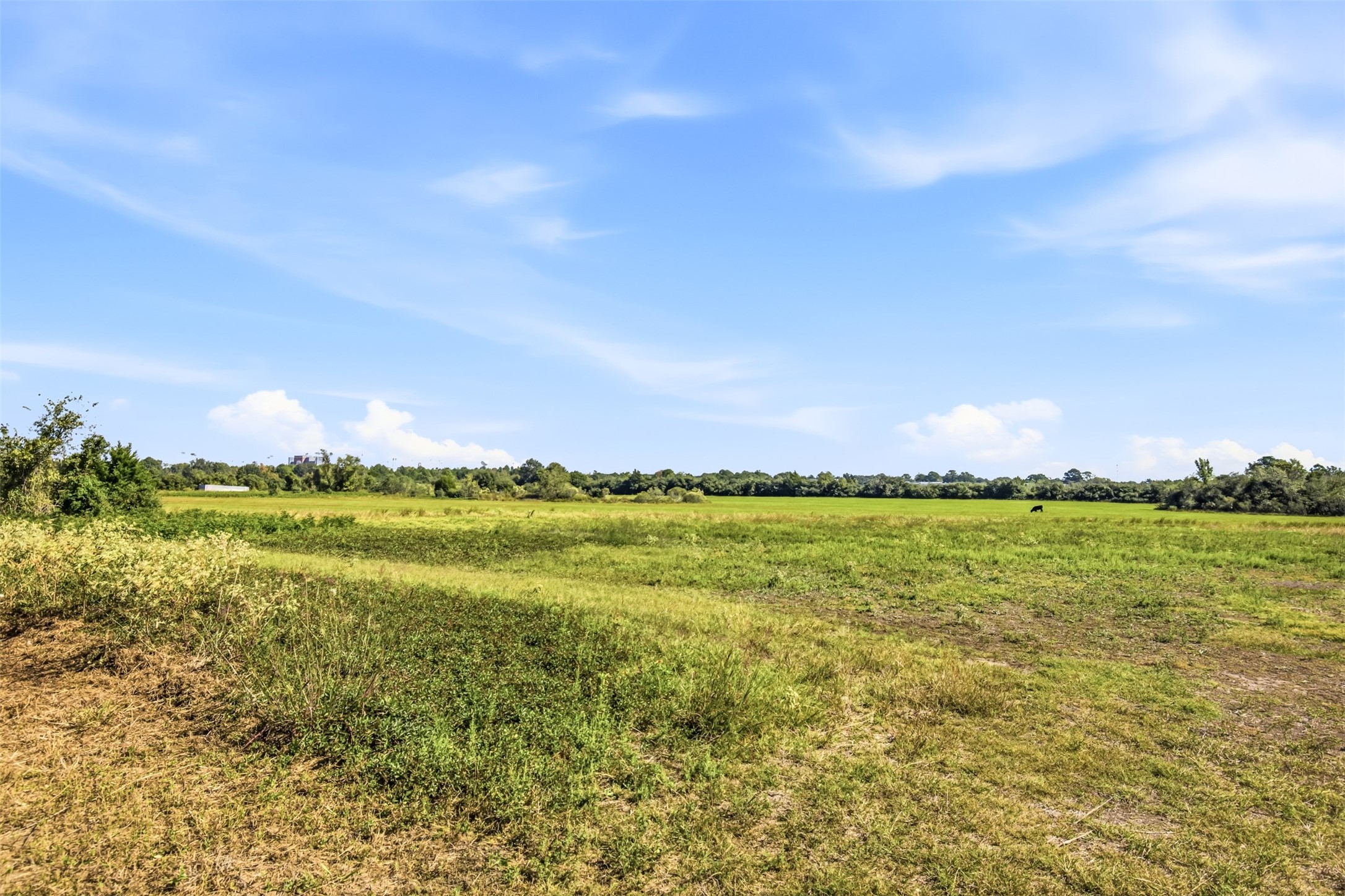 000 Richards Road, Prairie View, TX 77445