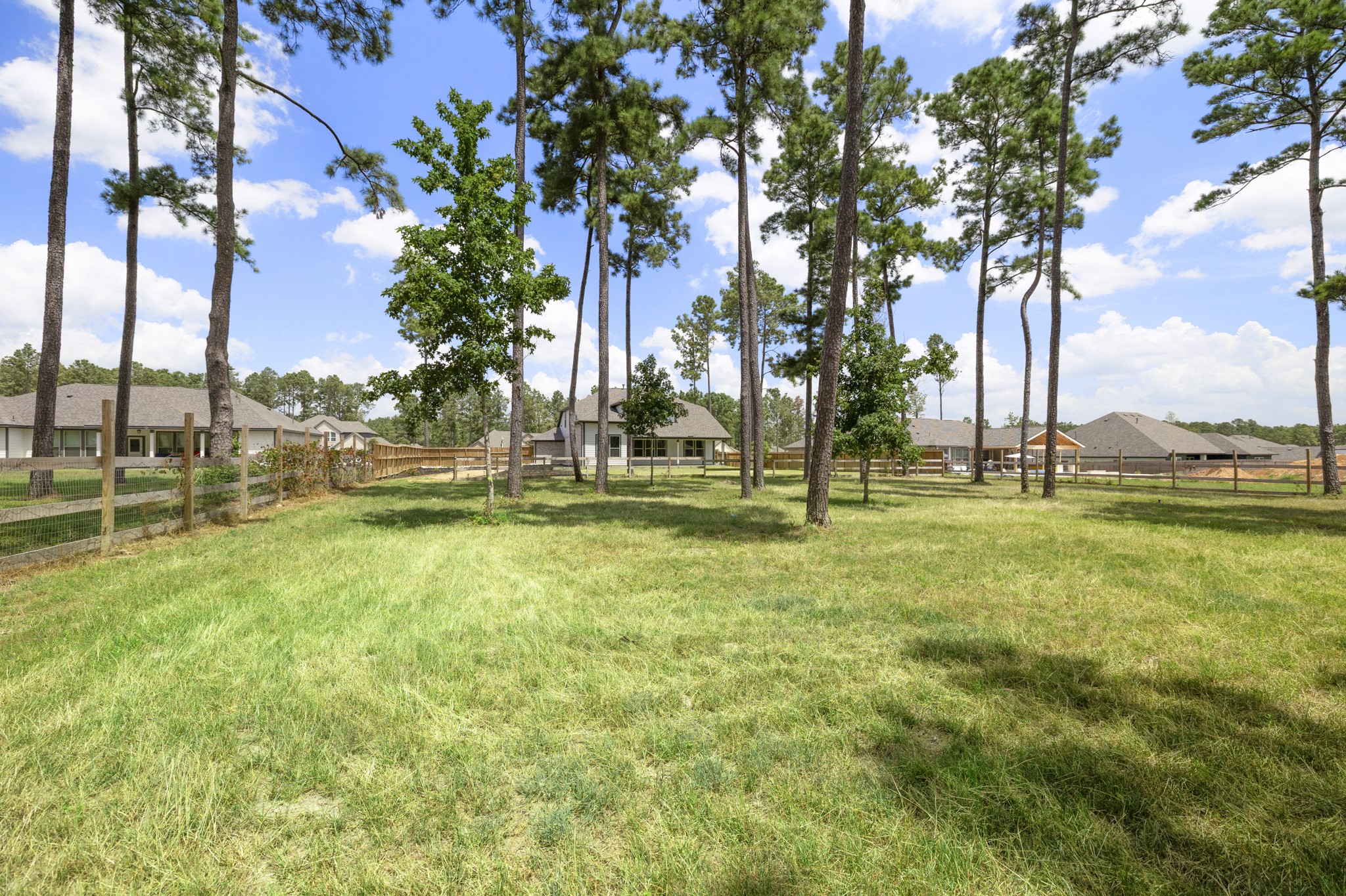Expansive backyard with lush grass and tall trees, surrounded by a charming wooden fence, offering privacy and a serene setting.