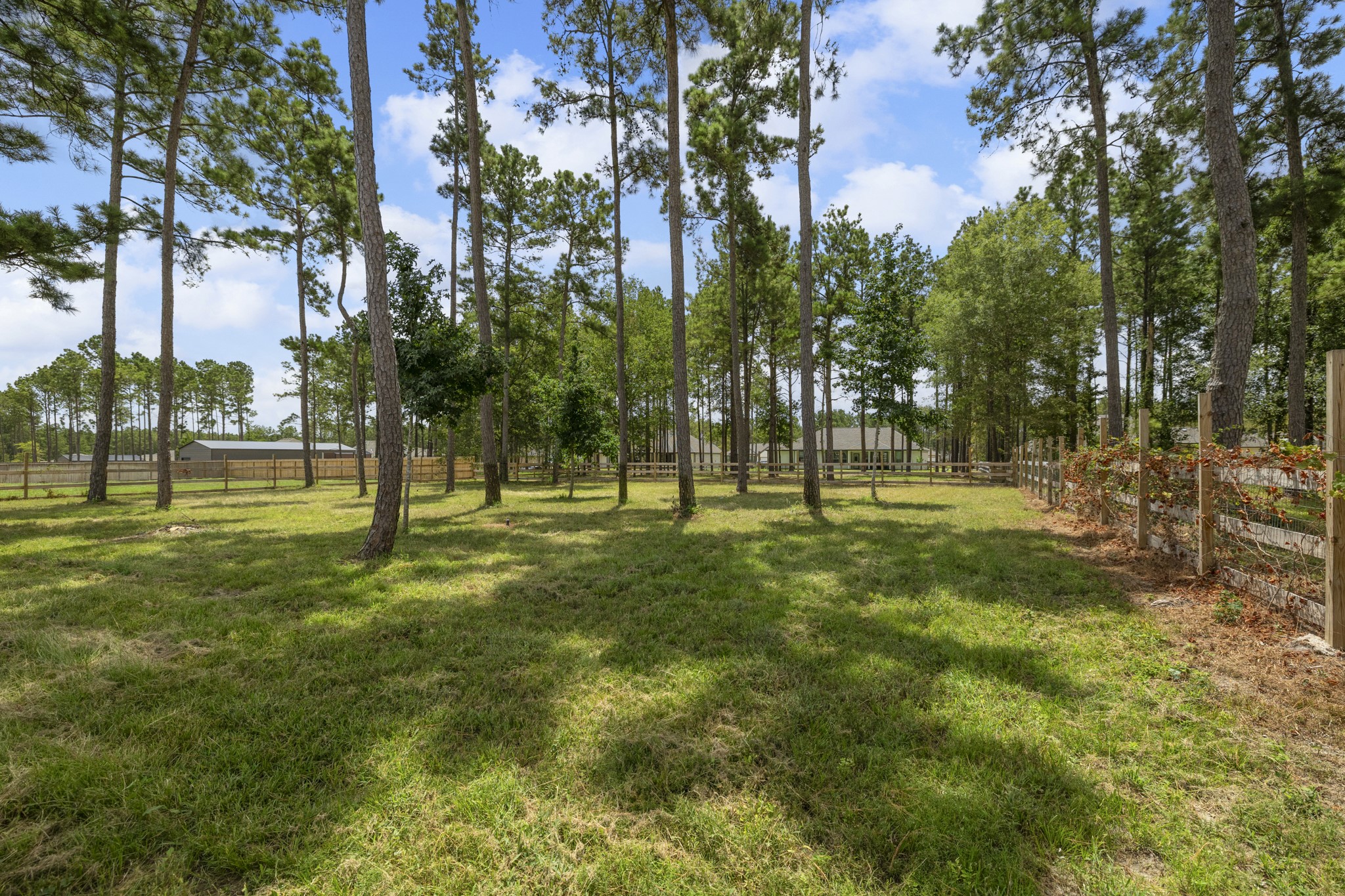 Perfect for enjoying nature and outdoor activities