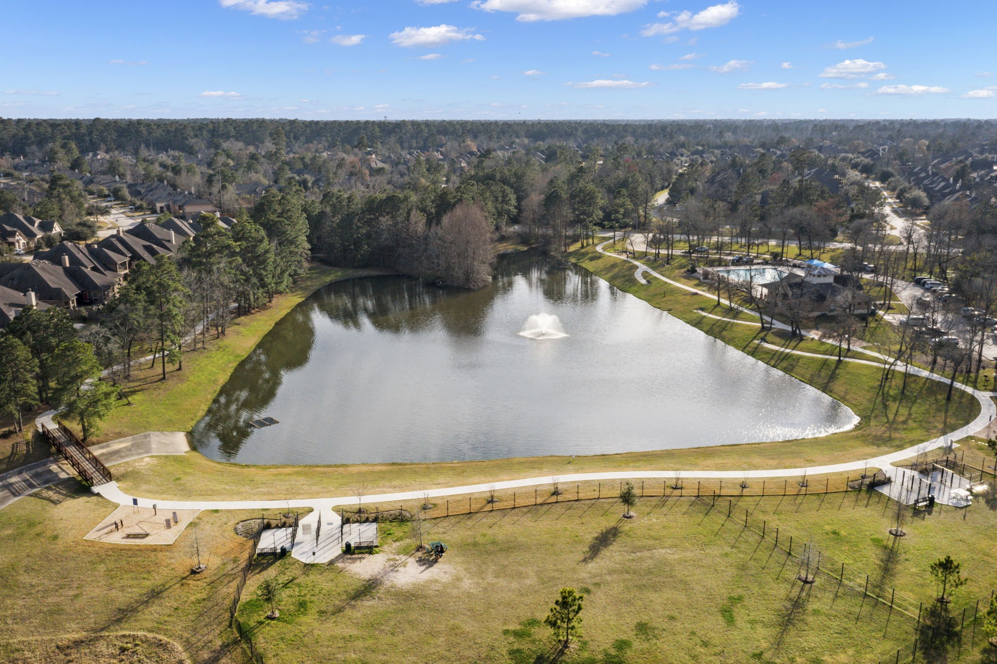 431 Hendricks Forest Lane, Conroe, TX 77384