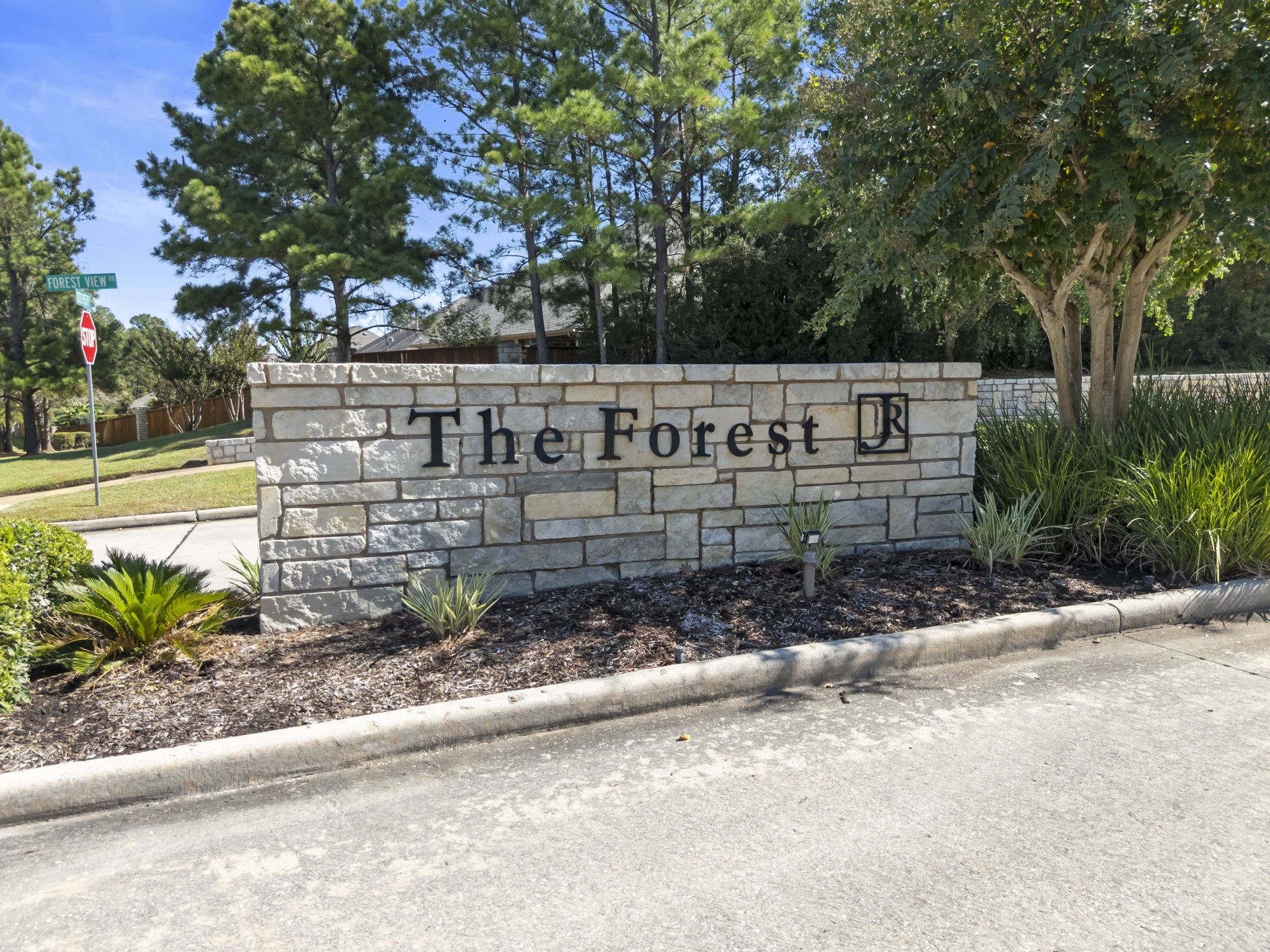 431 Hendricks Forest Lane, Conroe, TX 77384