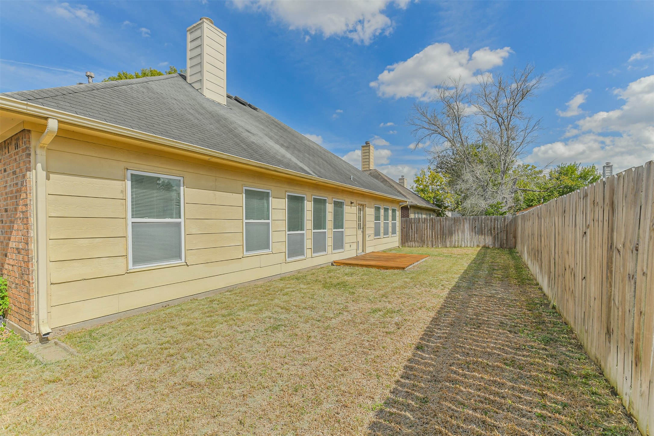 Backyard (2)