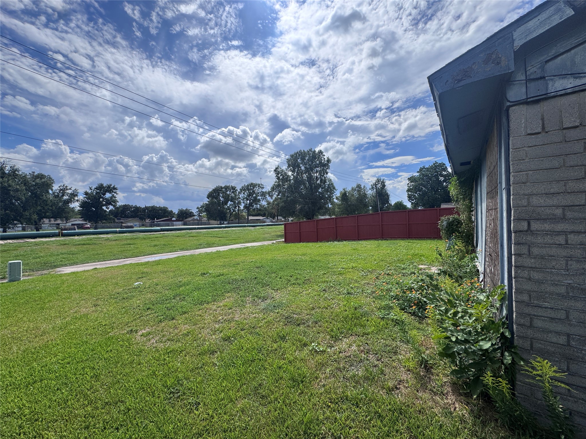 back yard