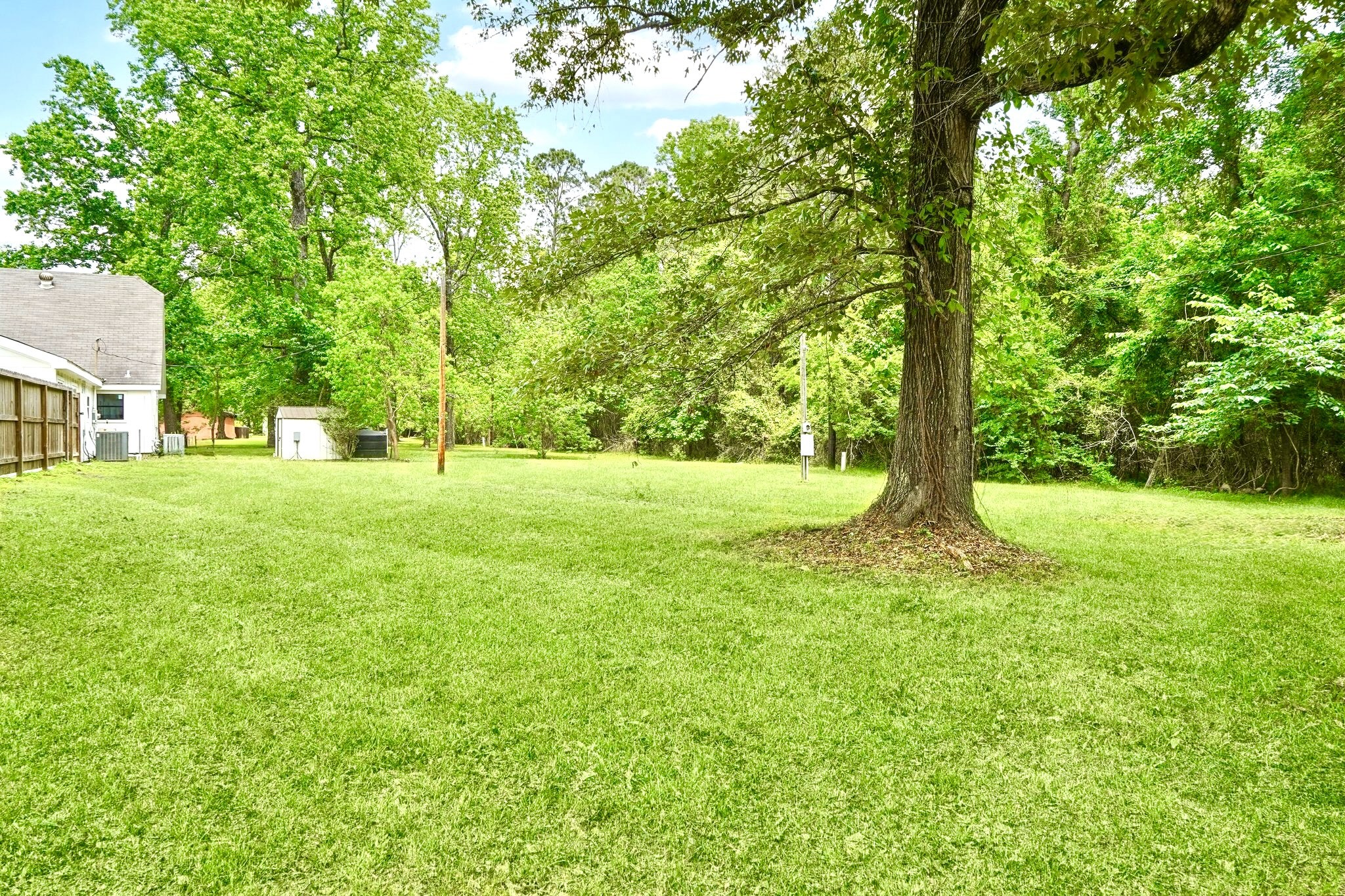 Rear of Home / Backyard - Tons of Space!