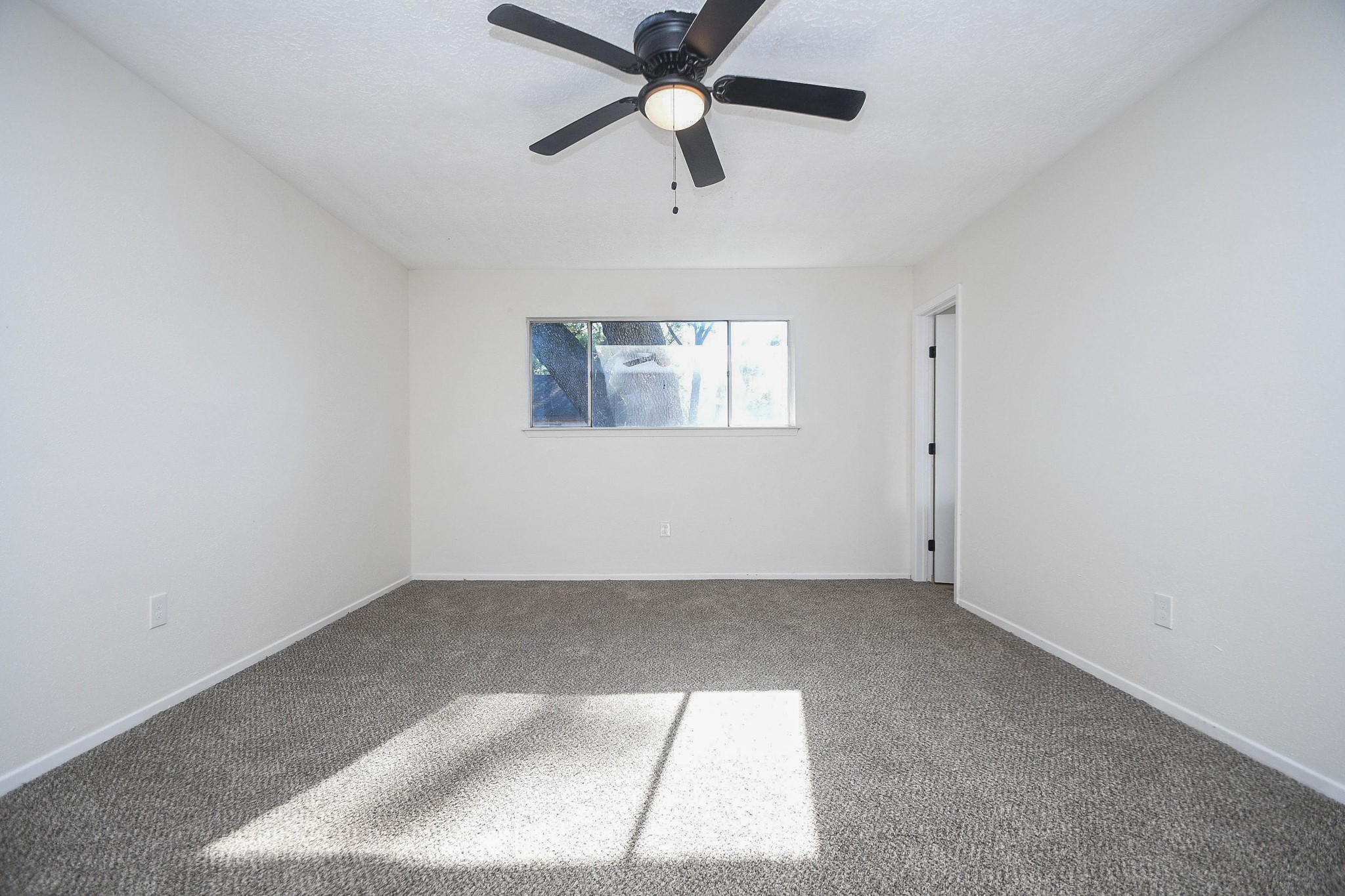 16118 Bougainvilla Lane, Friendswood, TX 77546