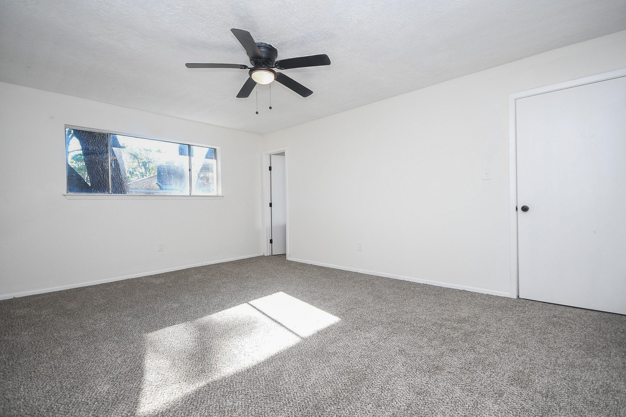 16118 Bougainvilla Lane, Friendswood, TX 77546