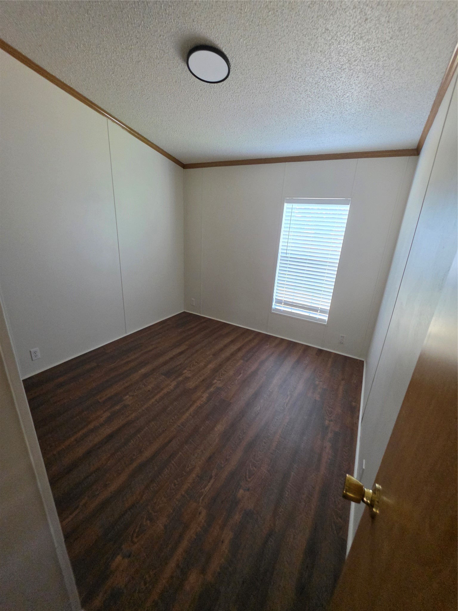 7304 Brazos Street, Rosharon, TX 77583