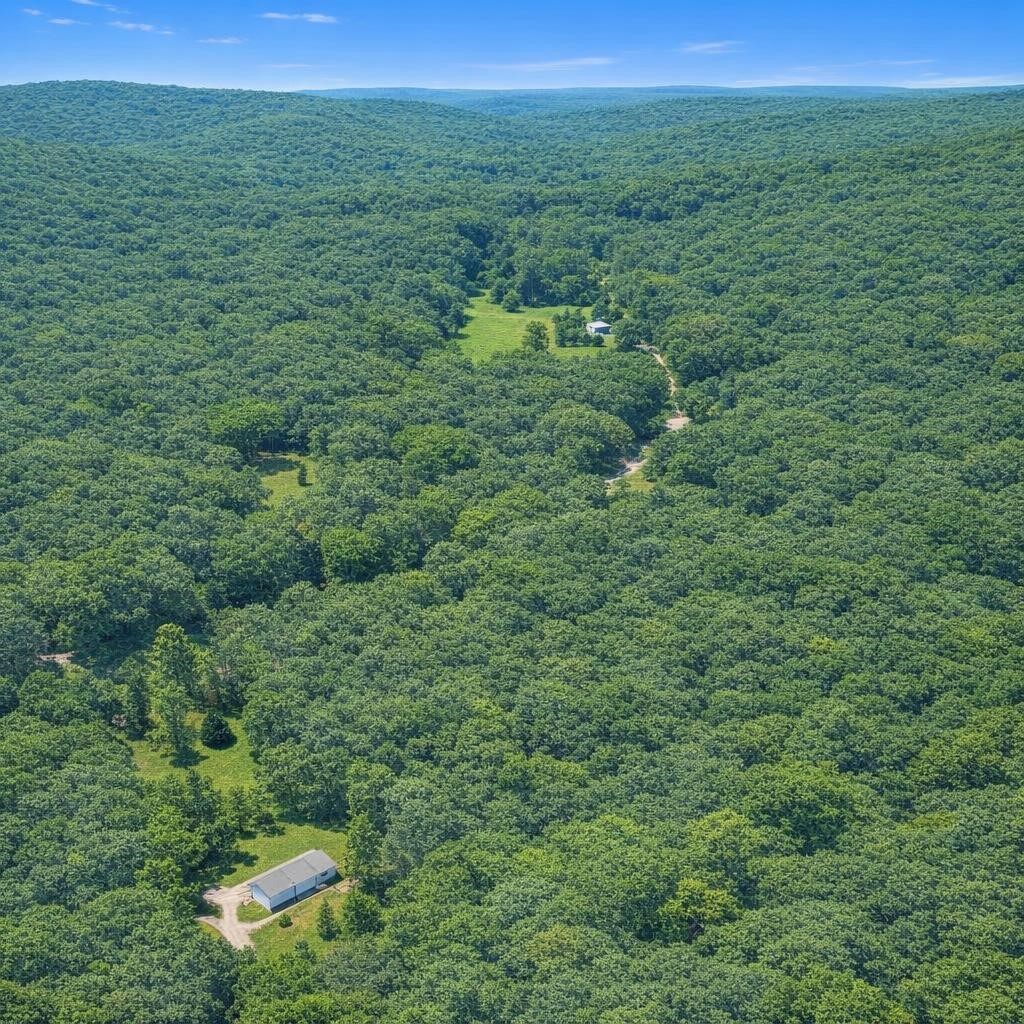 TBD 3.07 Acres Cardinal Drive, Magnolia, TX 77447