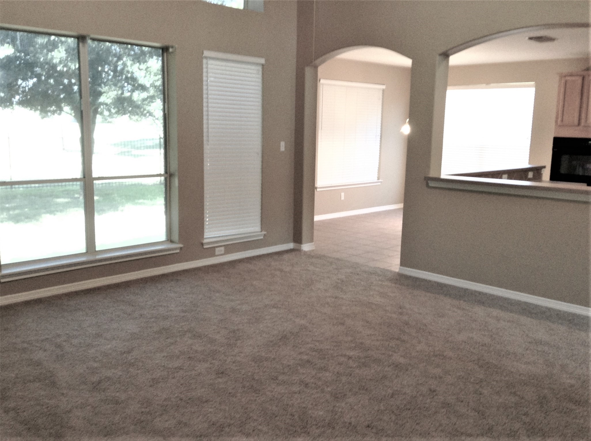 1322 Ventura Canyon Drive, Katy, TX 77494