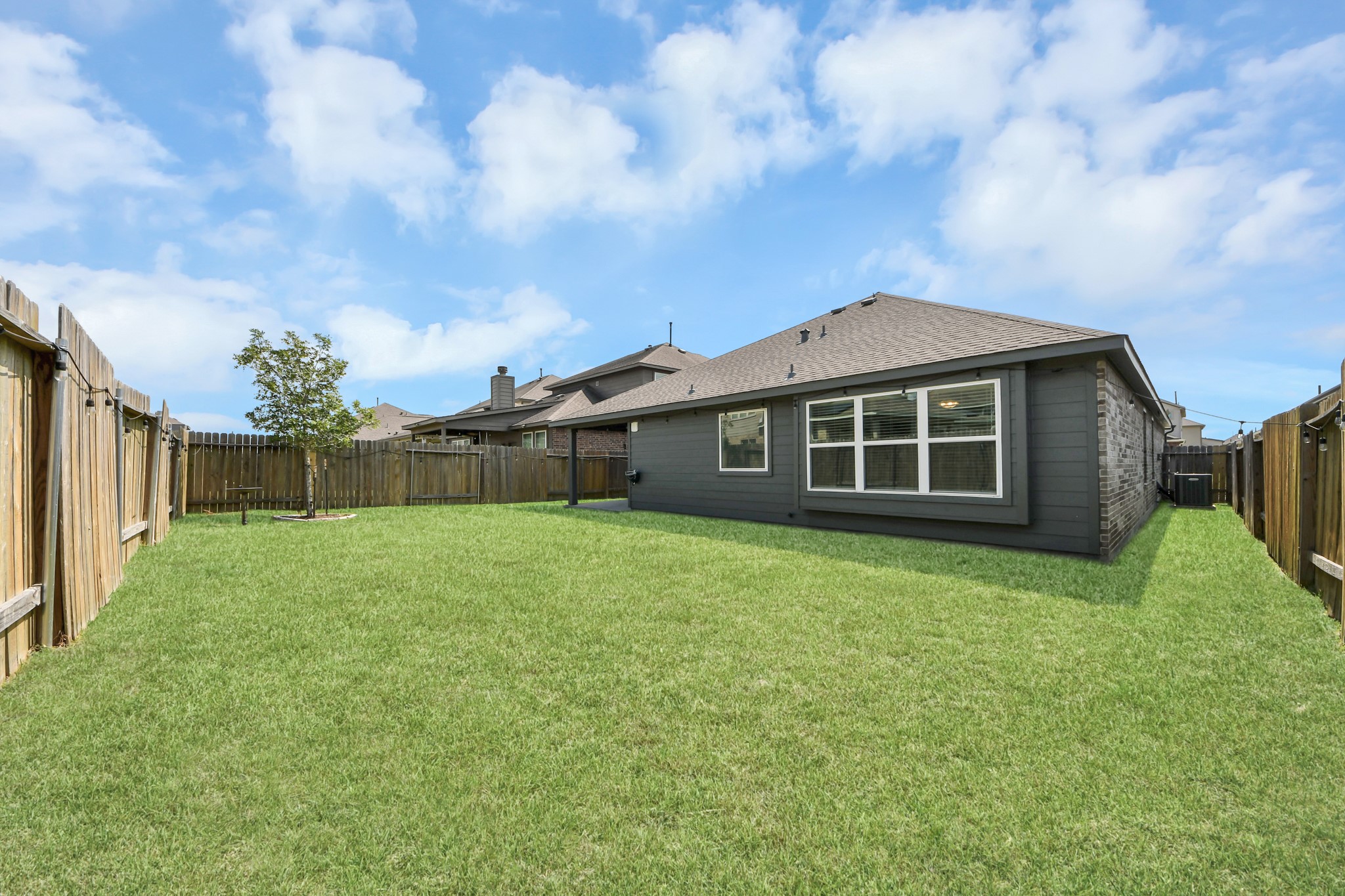 Spacious Backyard