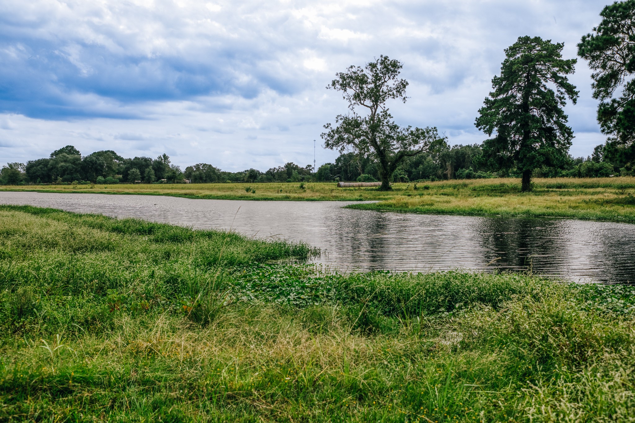 32711 Old Hempstead Road, Magnolia, TX 77355