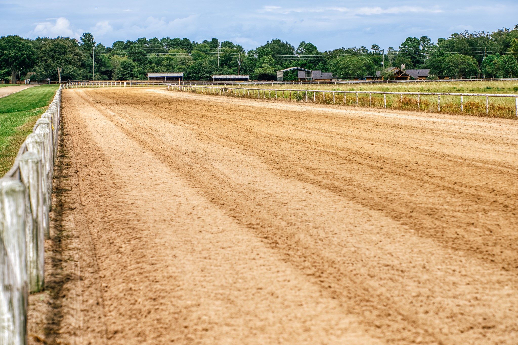 Track for all riding disciplines