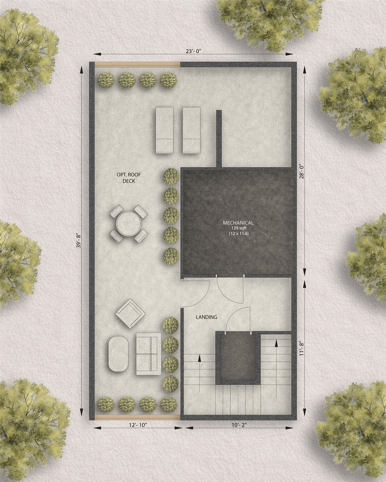 Roof top Terrace