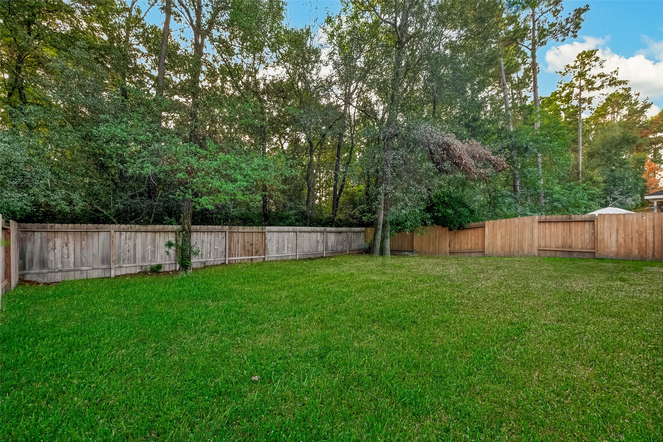 2011 Lost Timbers Drive, Conroe, TX 77304
