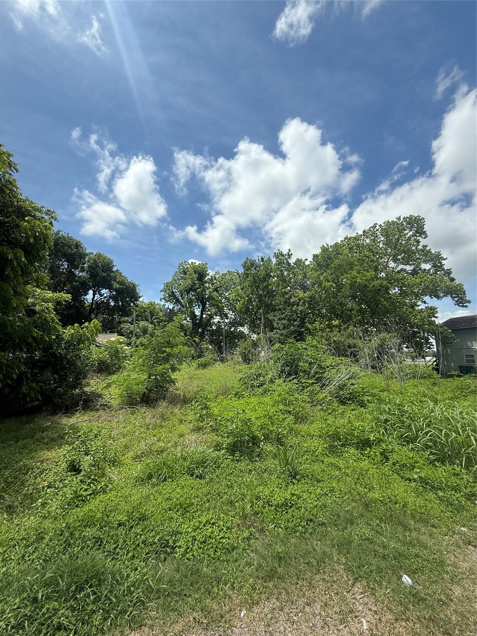 207 Prune Street, La Marque, TX 77568 207 Prune Street, La Marque, TX 77568