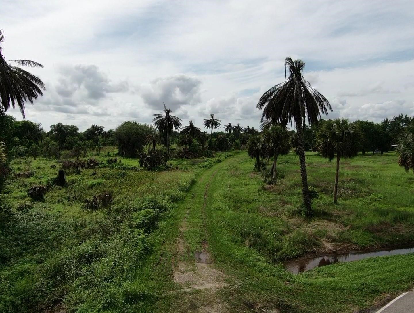 Lot 220 County Road 461 A, Brazoria, TX 77422