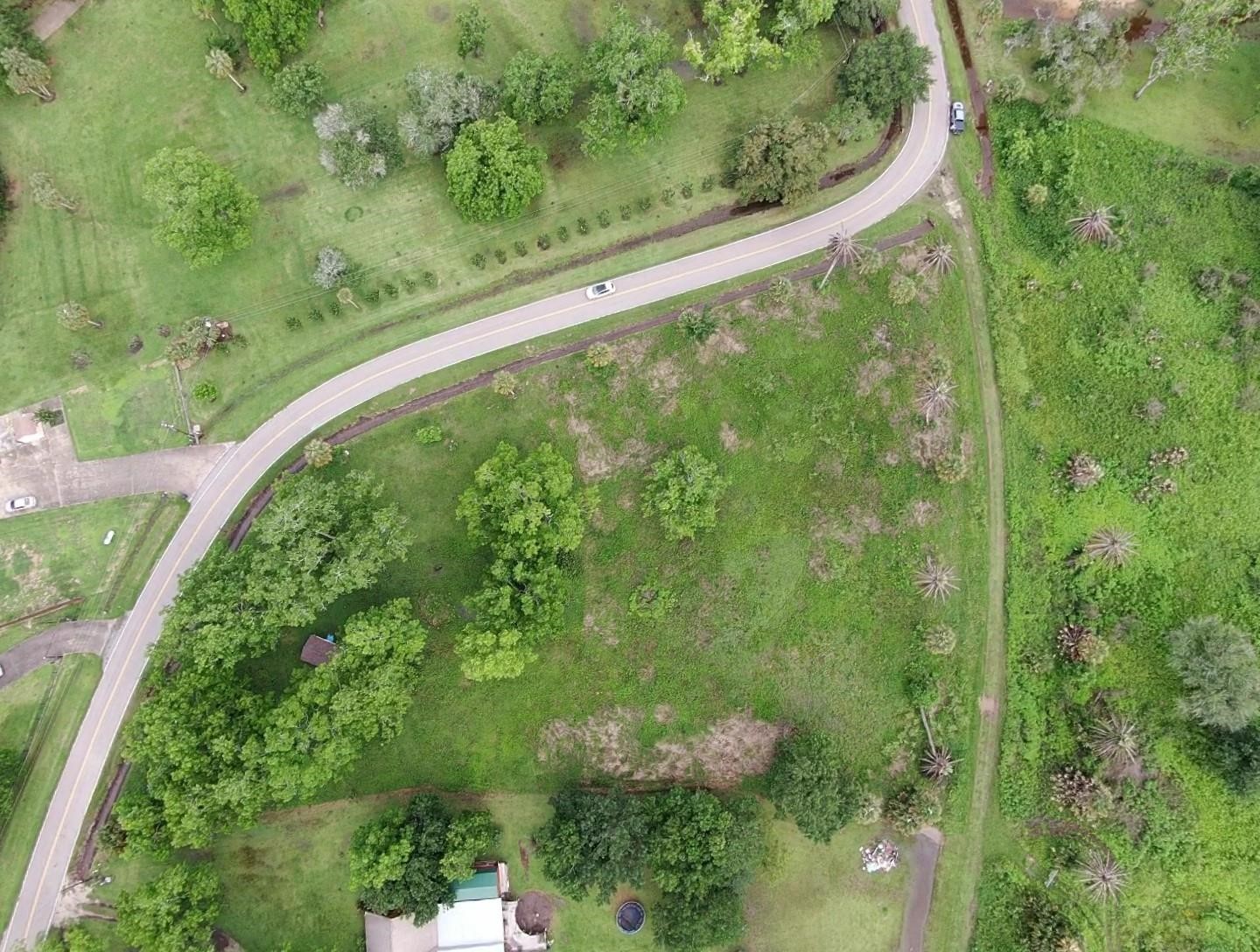 Lot 220 County Road 461 A, Brazoria, TX 77422
