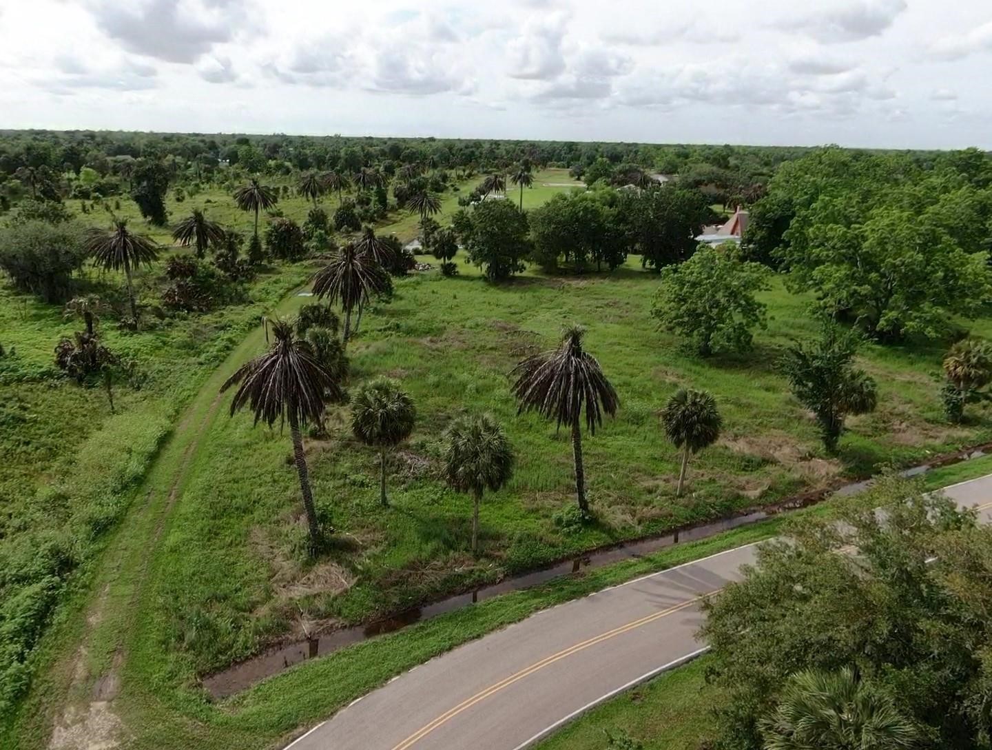 Lot 220 County Road 461 A, Brazoria, TX 77422
