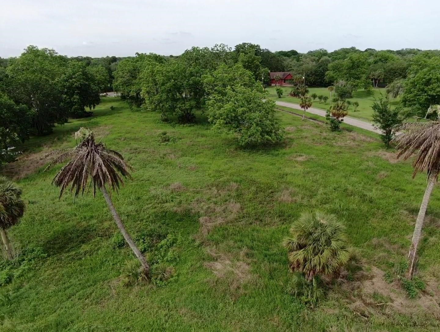 Lot 220 County Road 461 A, Brazoria, TX 77422