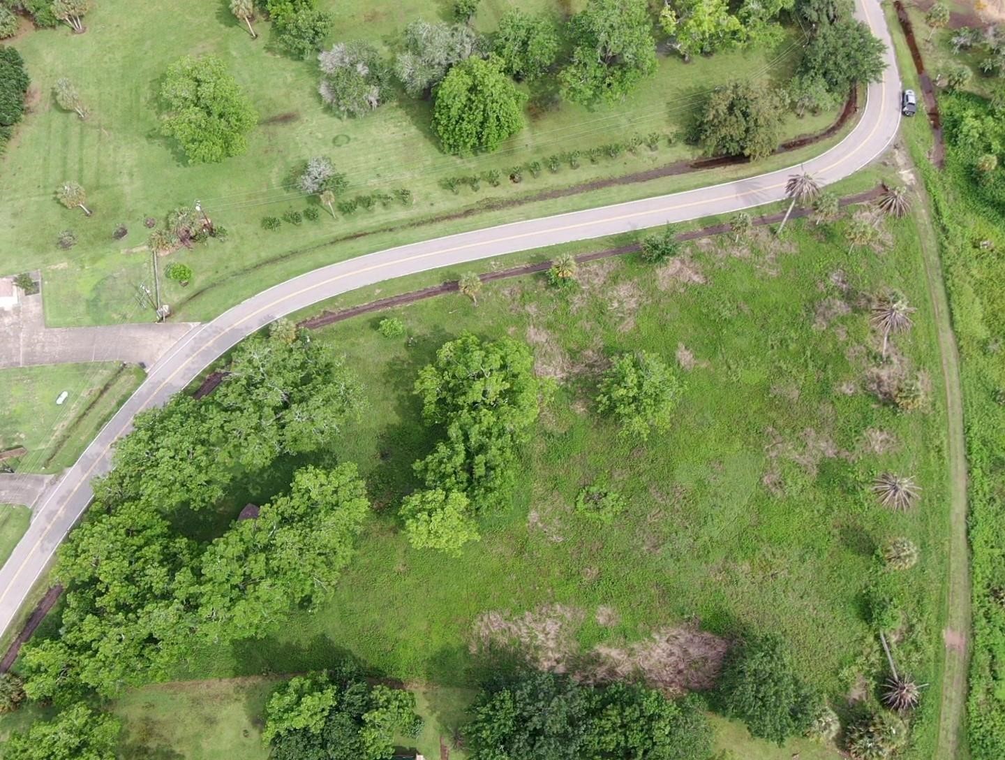 Lot 220 County Road 461 A, Brazoria, TX 77422