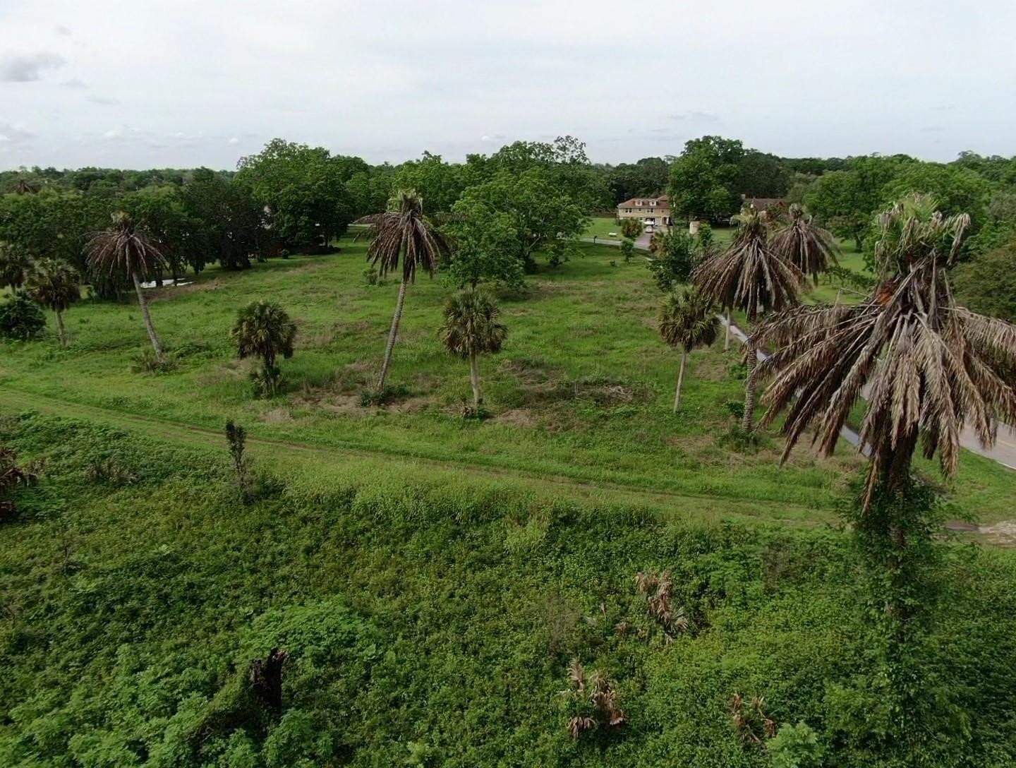 Lot 220 County Road 461 A, Brazoria, TX 77422