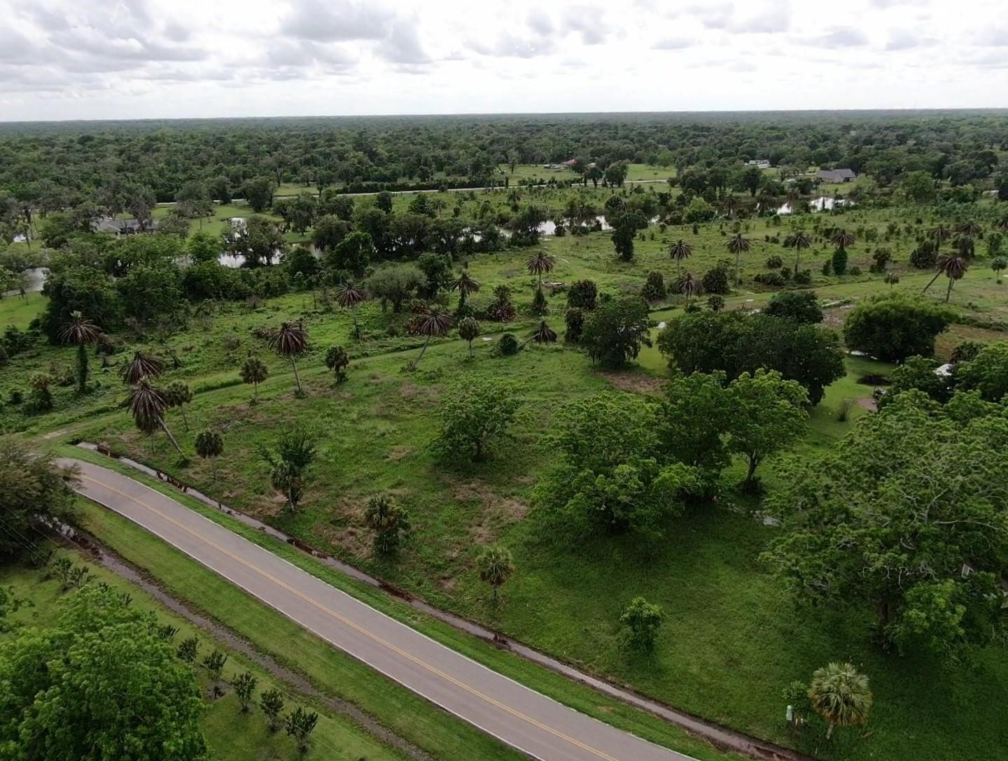 Lot 220 County Road 461 A, Brazoria, TX 77422