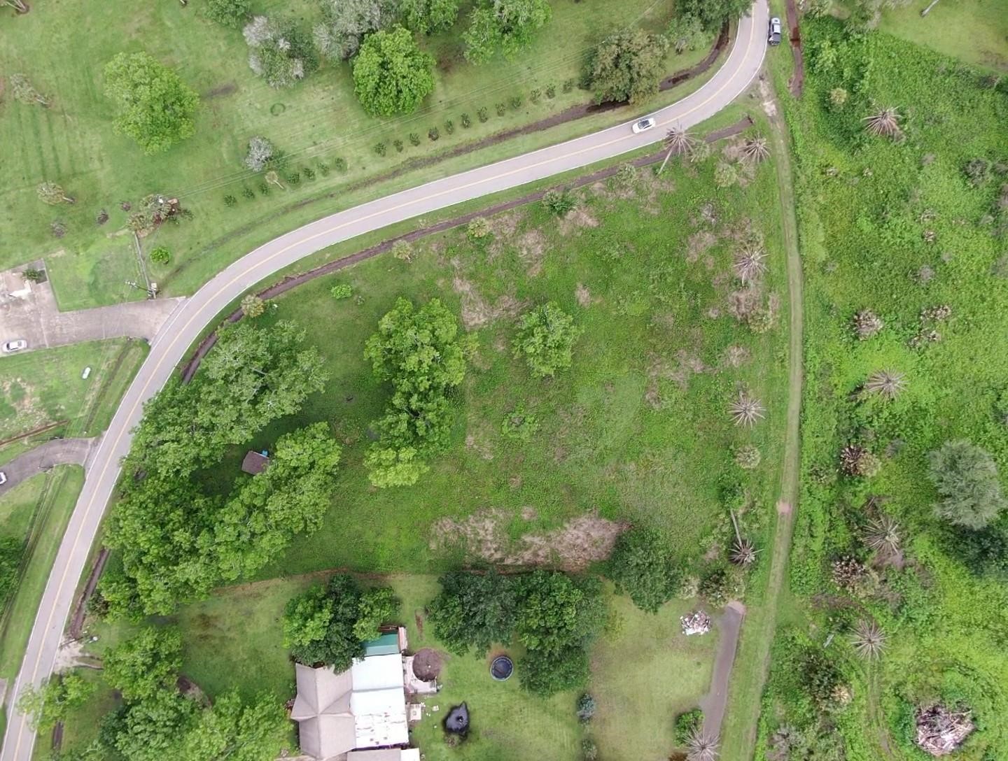 Lot 220 County Road 461 A, Brazoria, TX 77422
