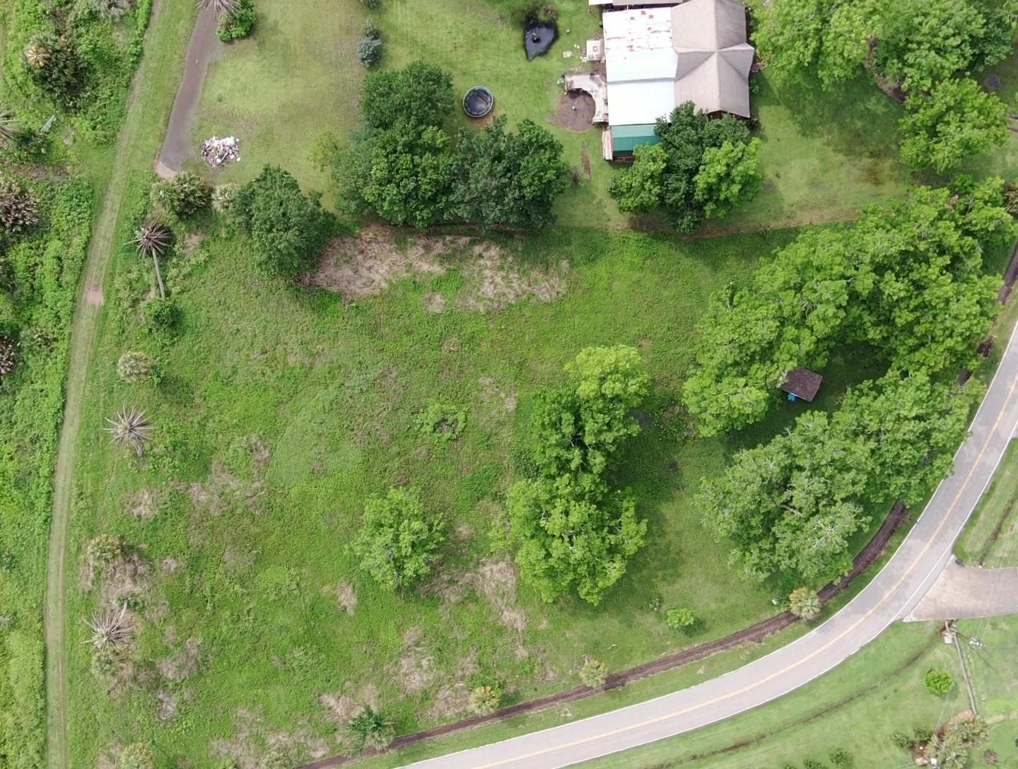 Lot 220 County Road 461 A, Brazoria, TX 77422