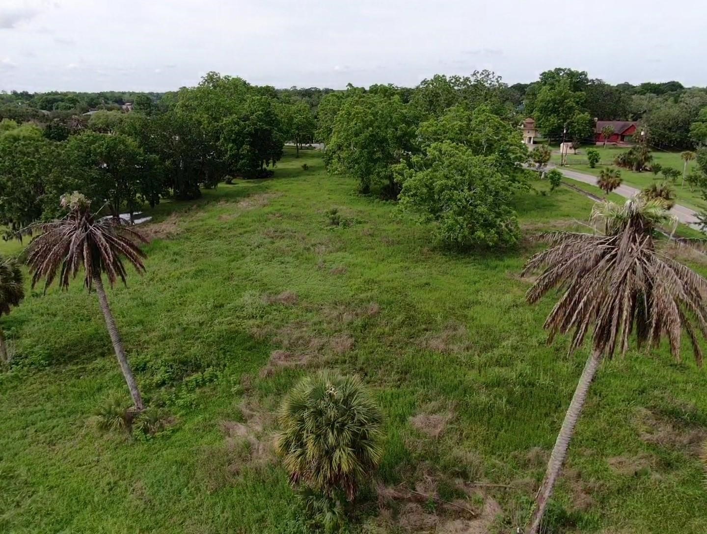 Lot 220 County Road 461 A, Brazoria, TX 77422