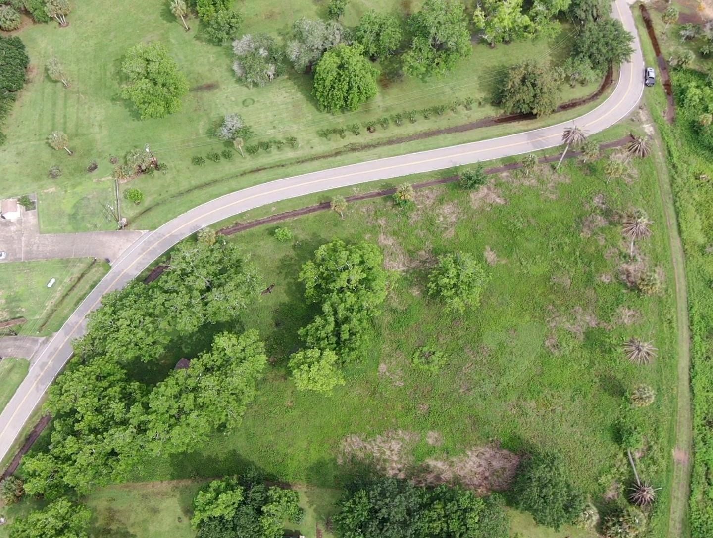 Lot 220 County Road 461 A, Brazoria, TX 77422